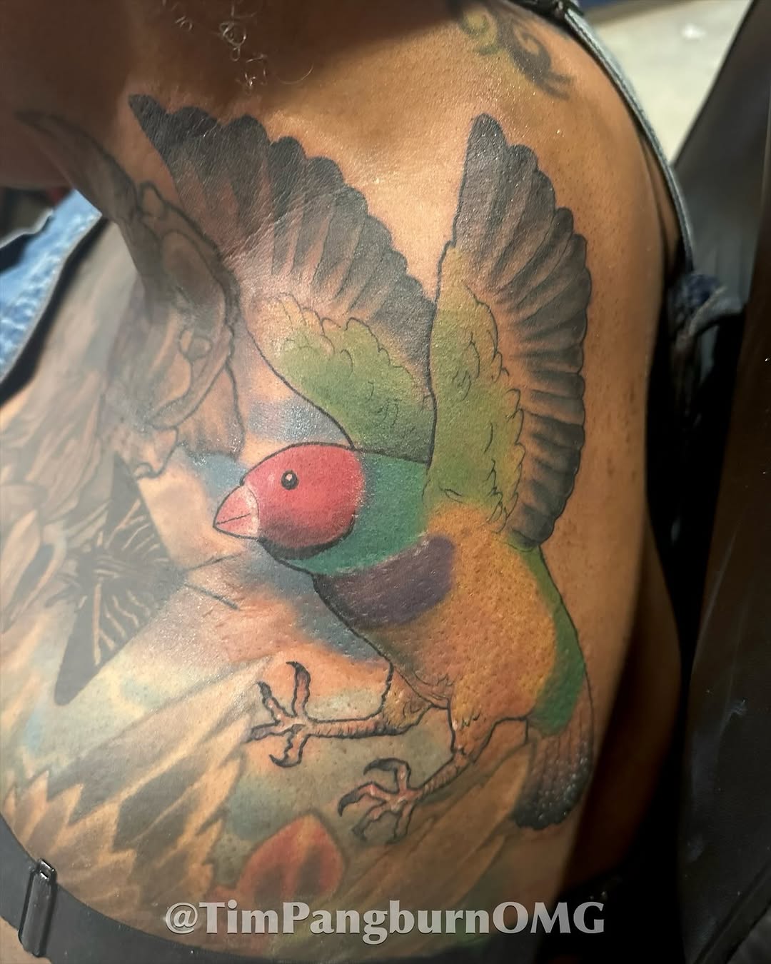 Tattoo by @timpangburnomg — realism, color