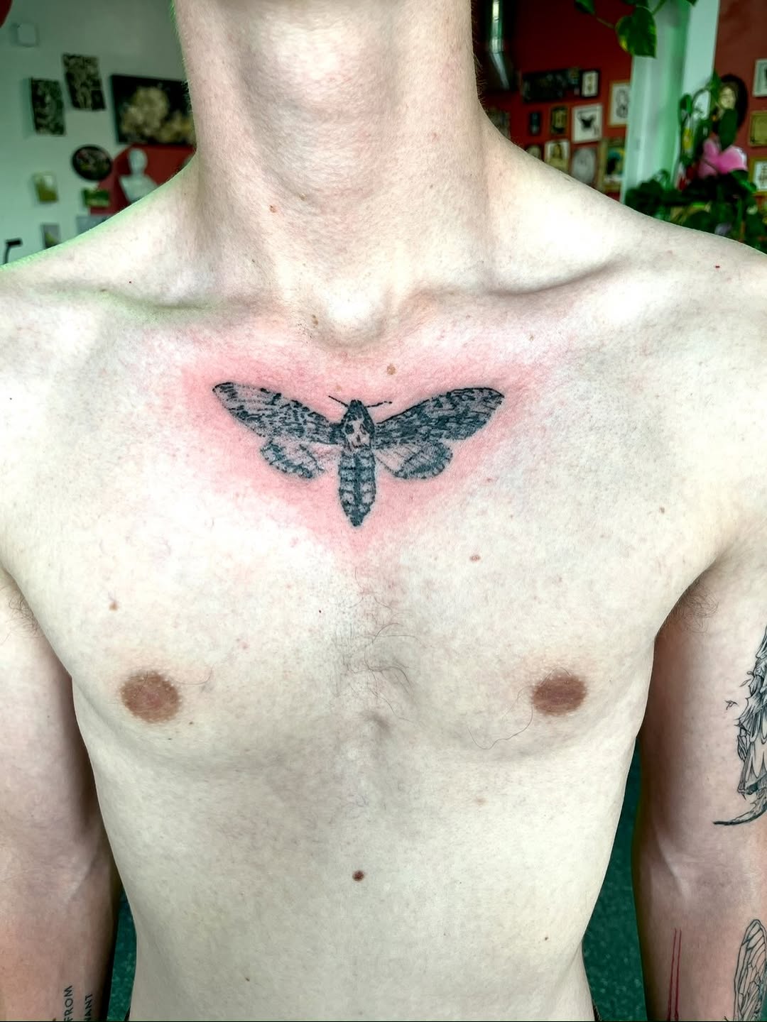 Death's-head hawkmoth fine line tattoo on the chest by sammy b