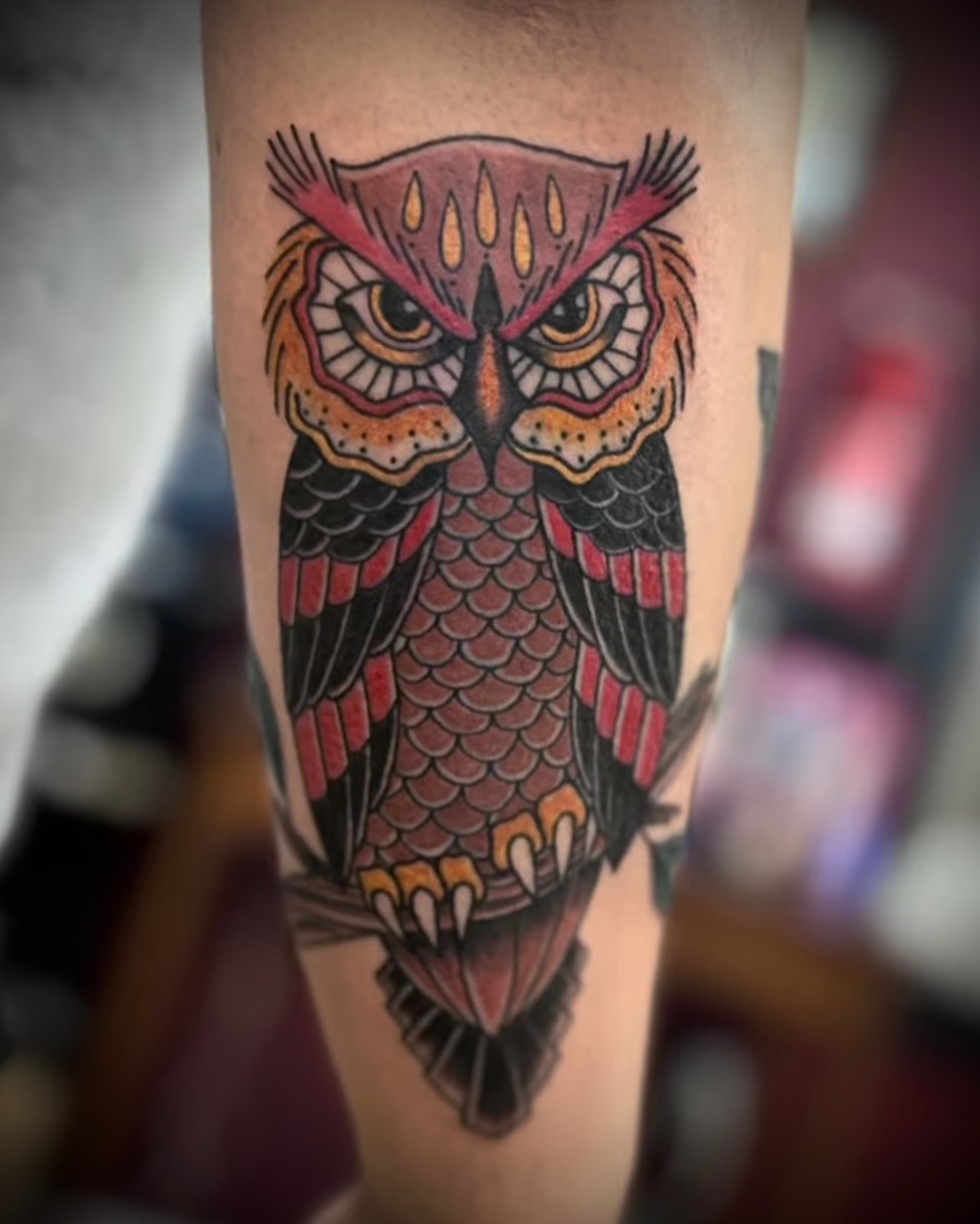 Tattoo by @jen_godfreytattoos — american_traditional