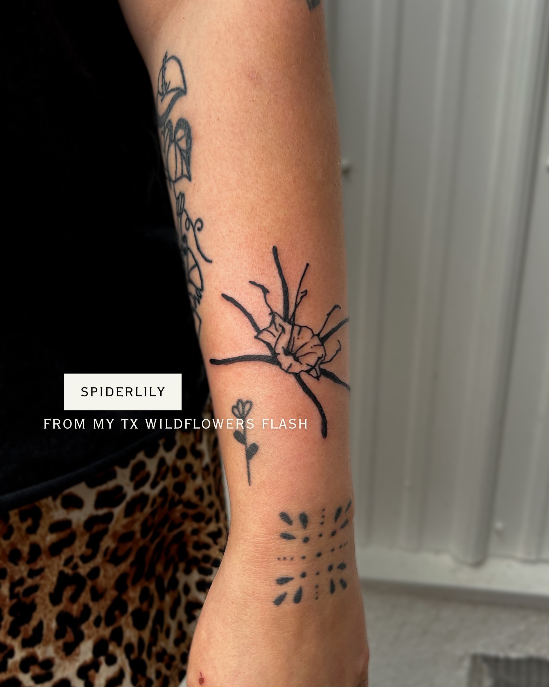 Spiderlily dotwork tattoo on the forearm by Amy