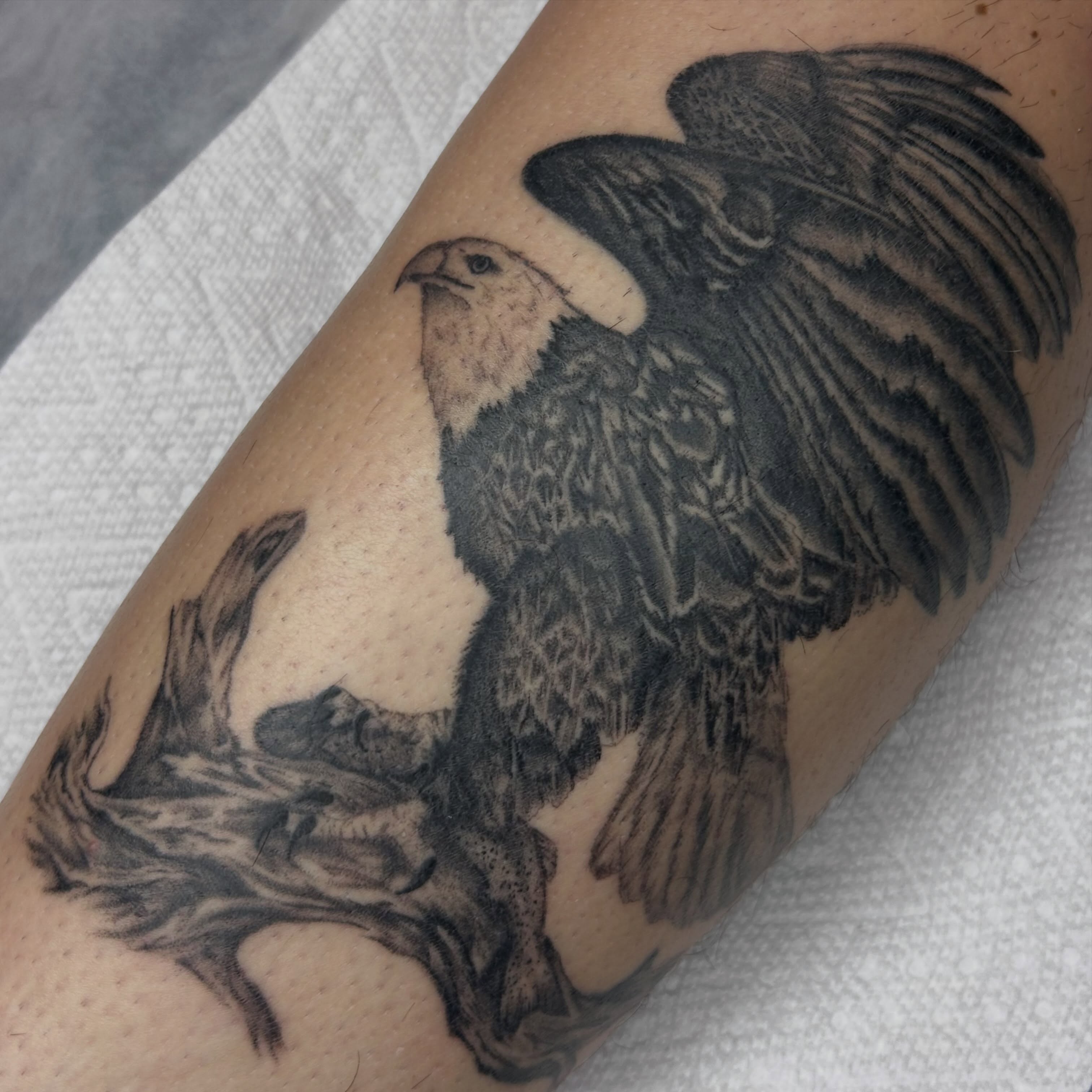 Eagle realism tattoo on the forearm by Alex Lang