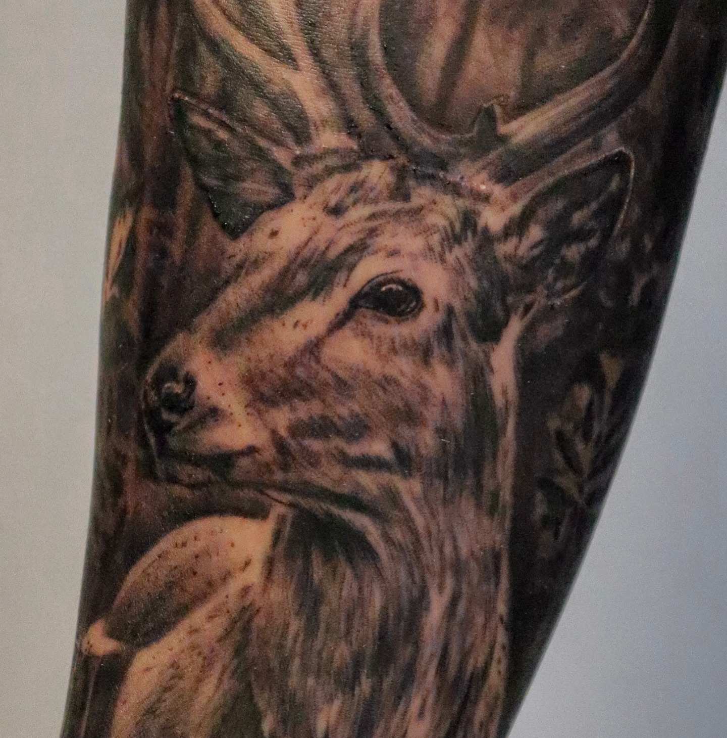 Deer realism tattoo on the forearm by Angel Tattoos