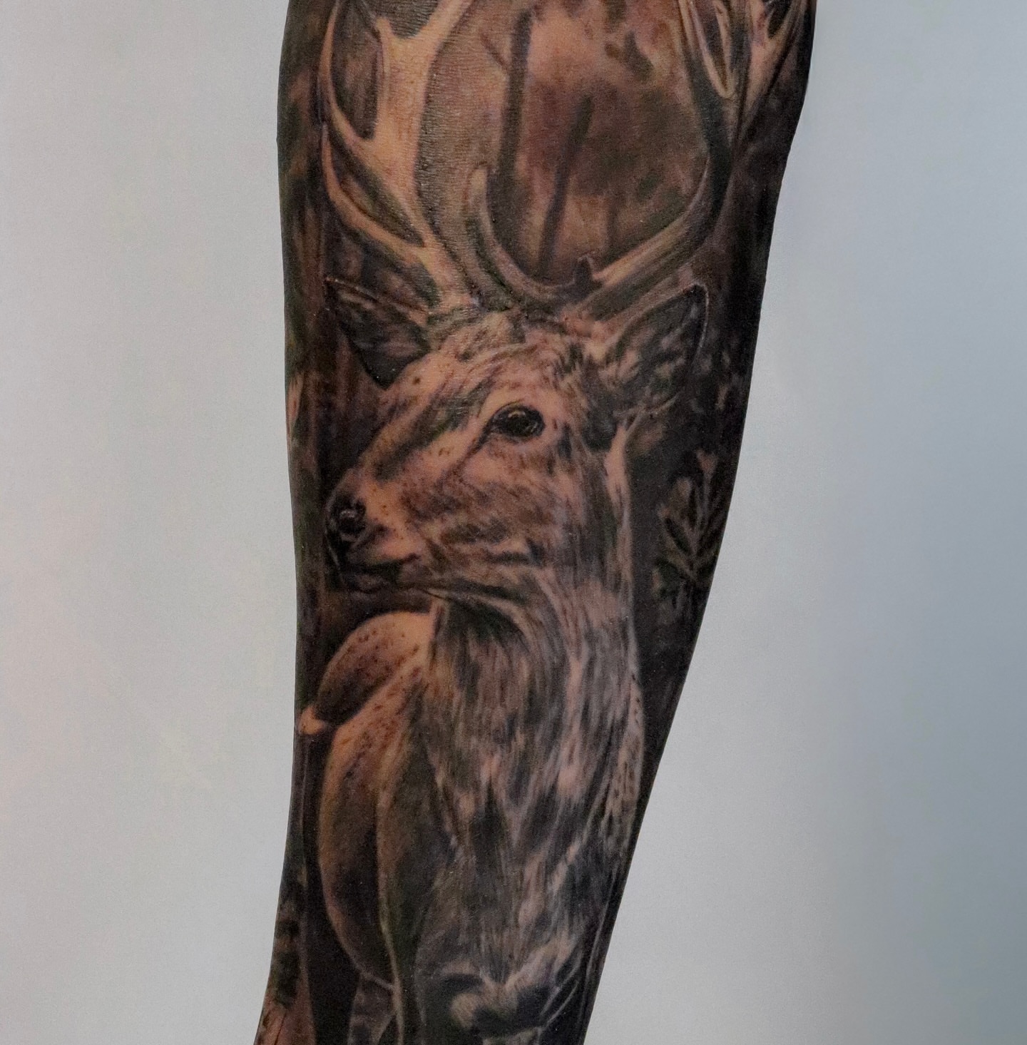 Deer realism tattoo on the forearm by Angel Tattoos