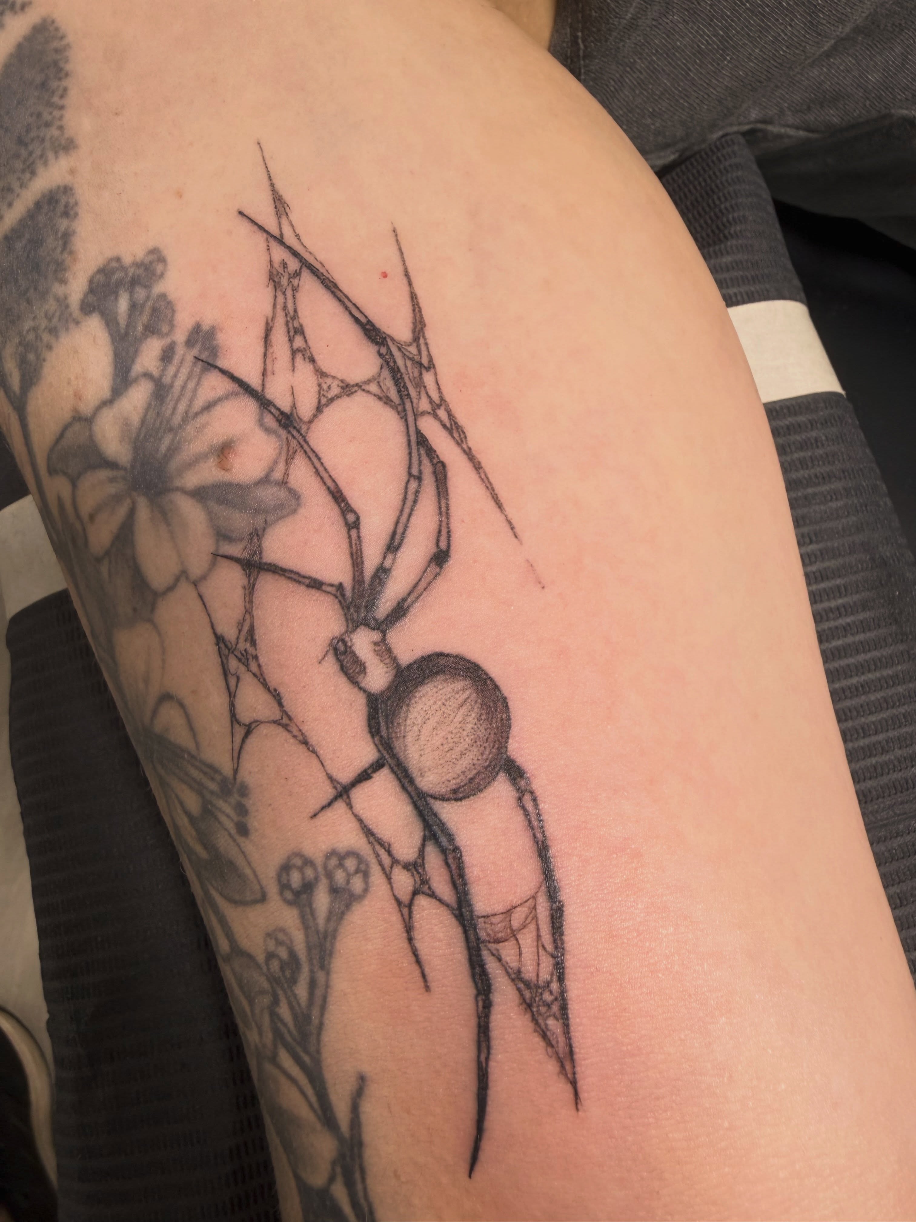 Spider and web dotwork tattoo on the forearm by Sacramento tattoo
