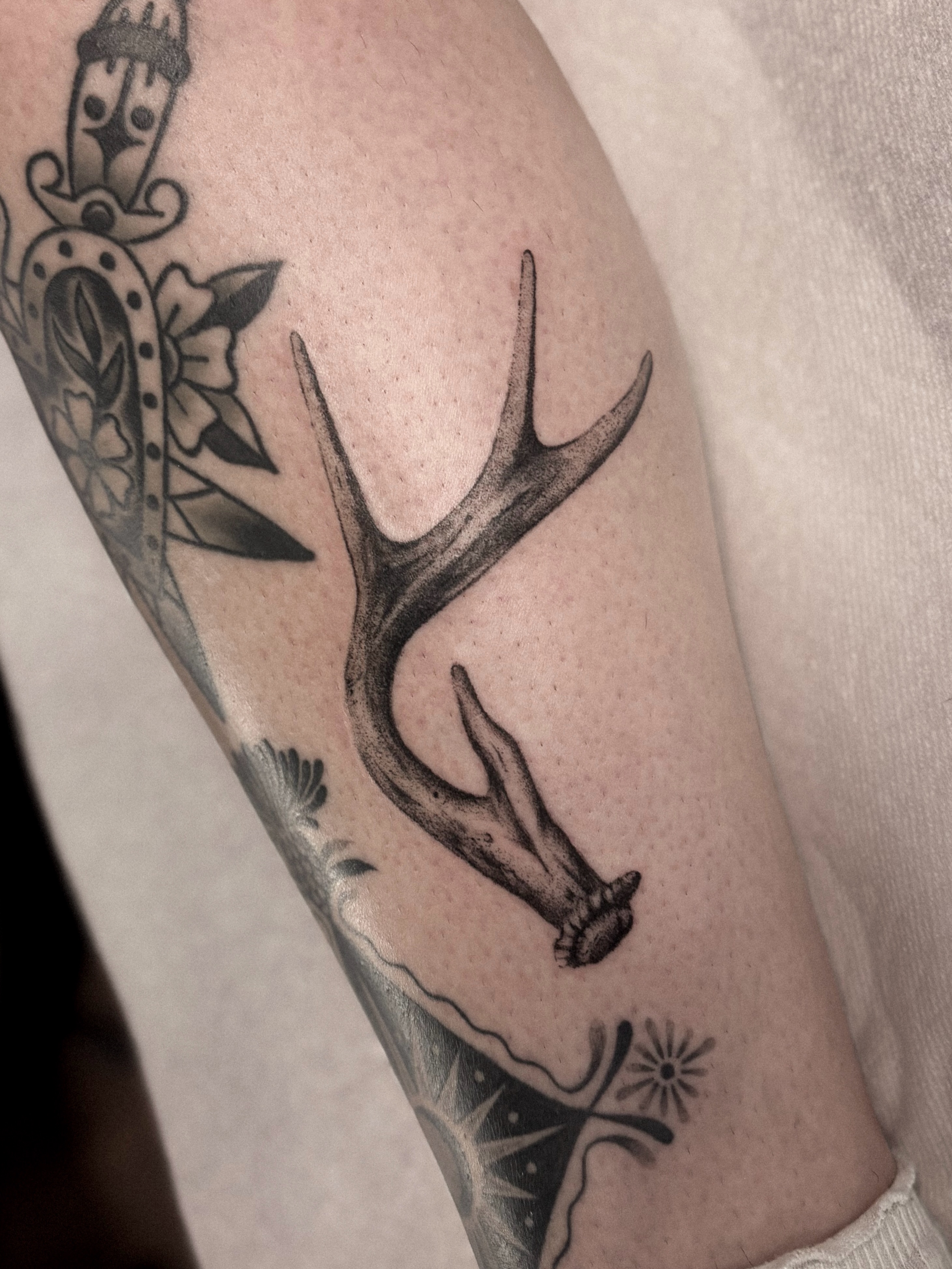 Antlers black and grey tattoo on the forearm by laika ✶ pdx tattoo, Portland, Oregon