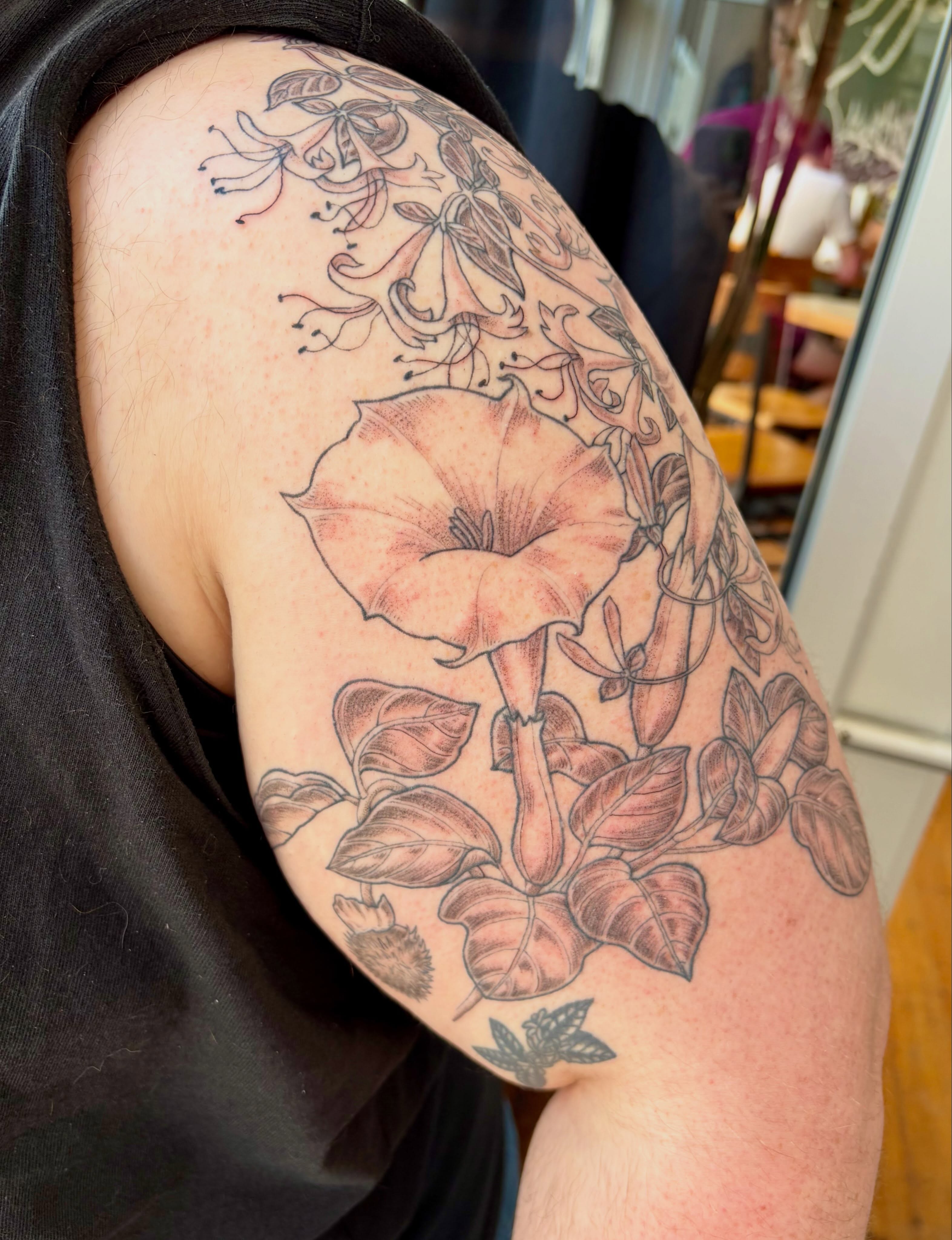 Morning glory black and grey tattoo on the upper arm by Sarah Roach