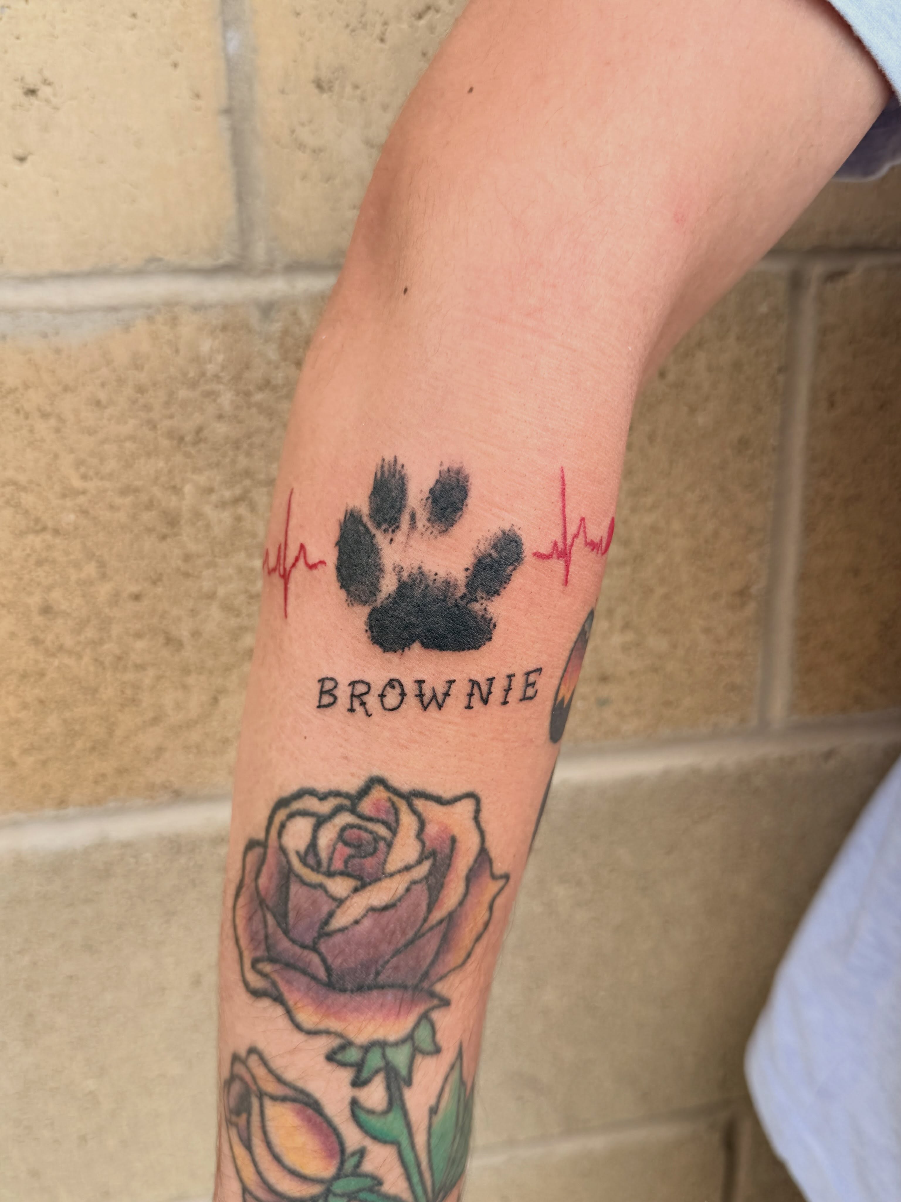Paw print and heartbeat dotwork tattoo on the forearm by Ellari