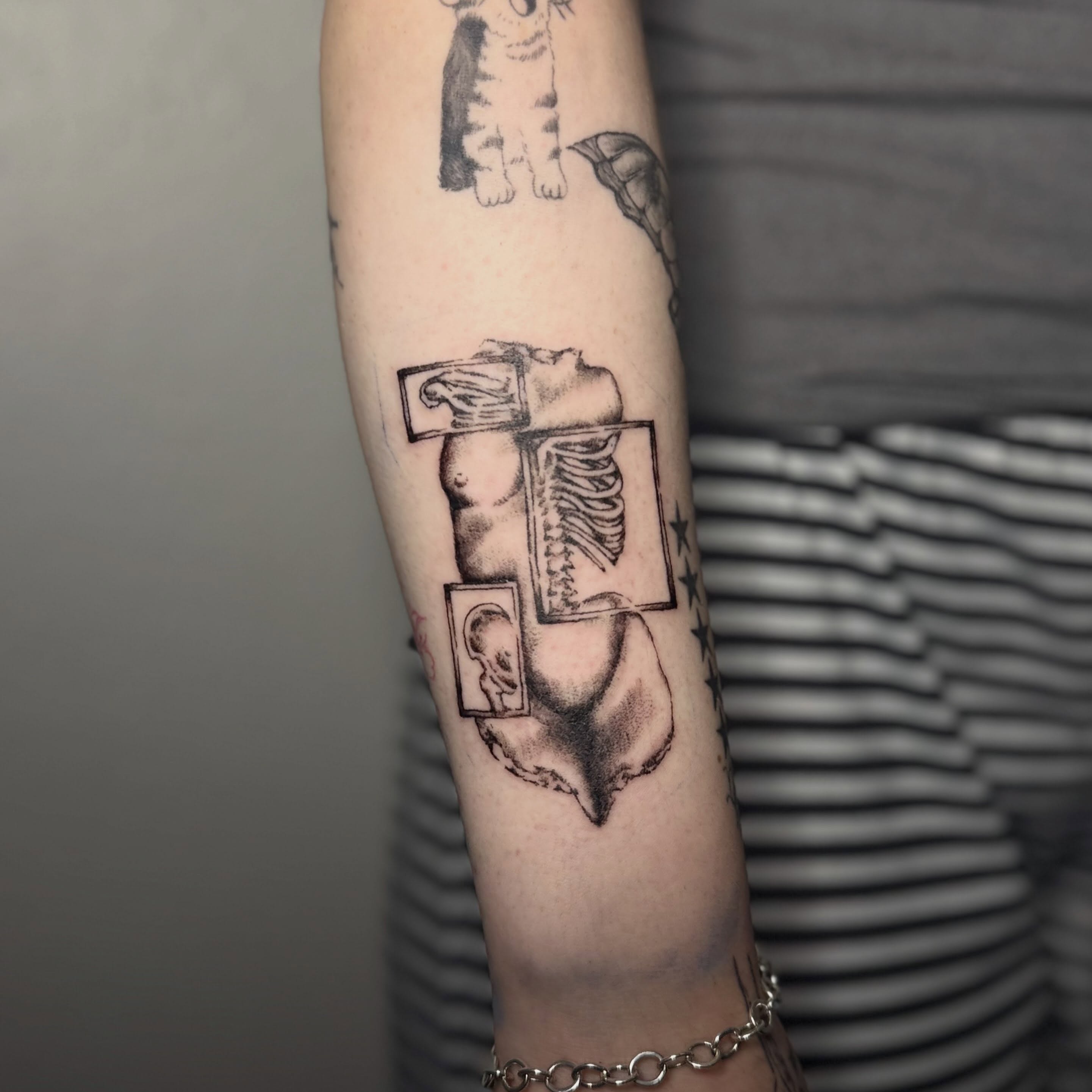 Anatomical cross-section realism tattoo on the forearm by Cullen-Lee