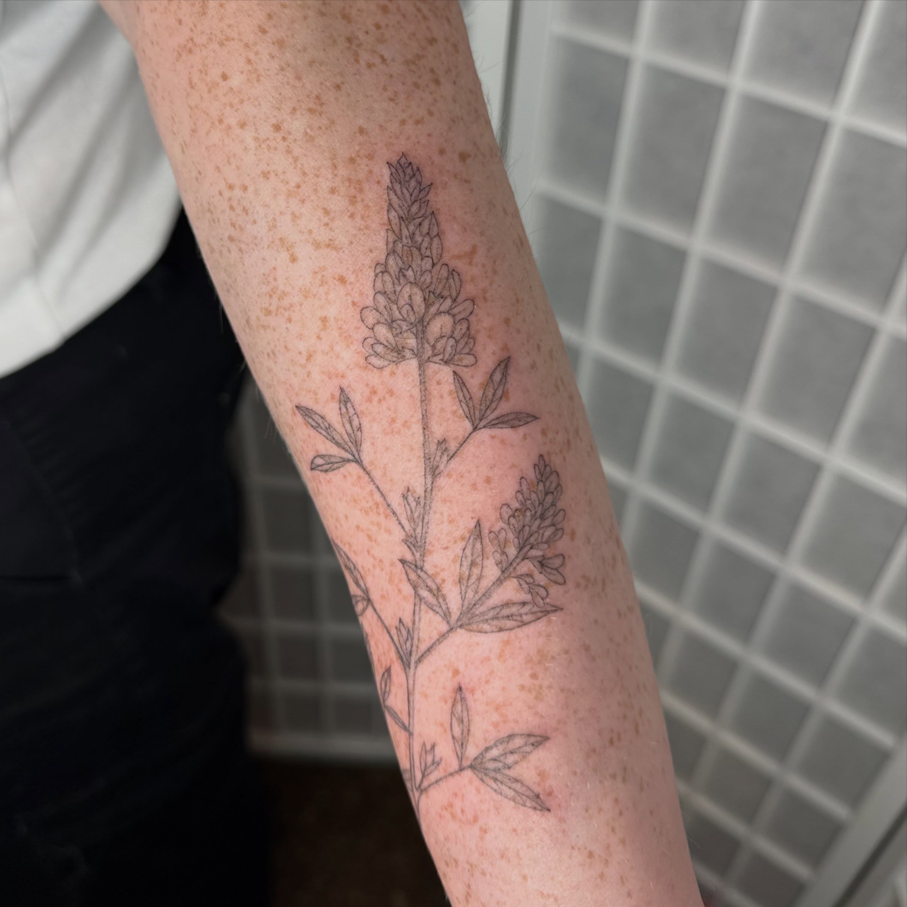 Plant black and grey tattoo on the forearm by Dama