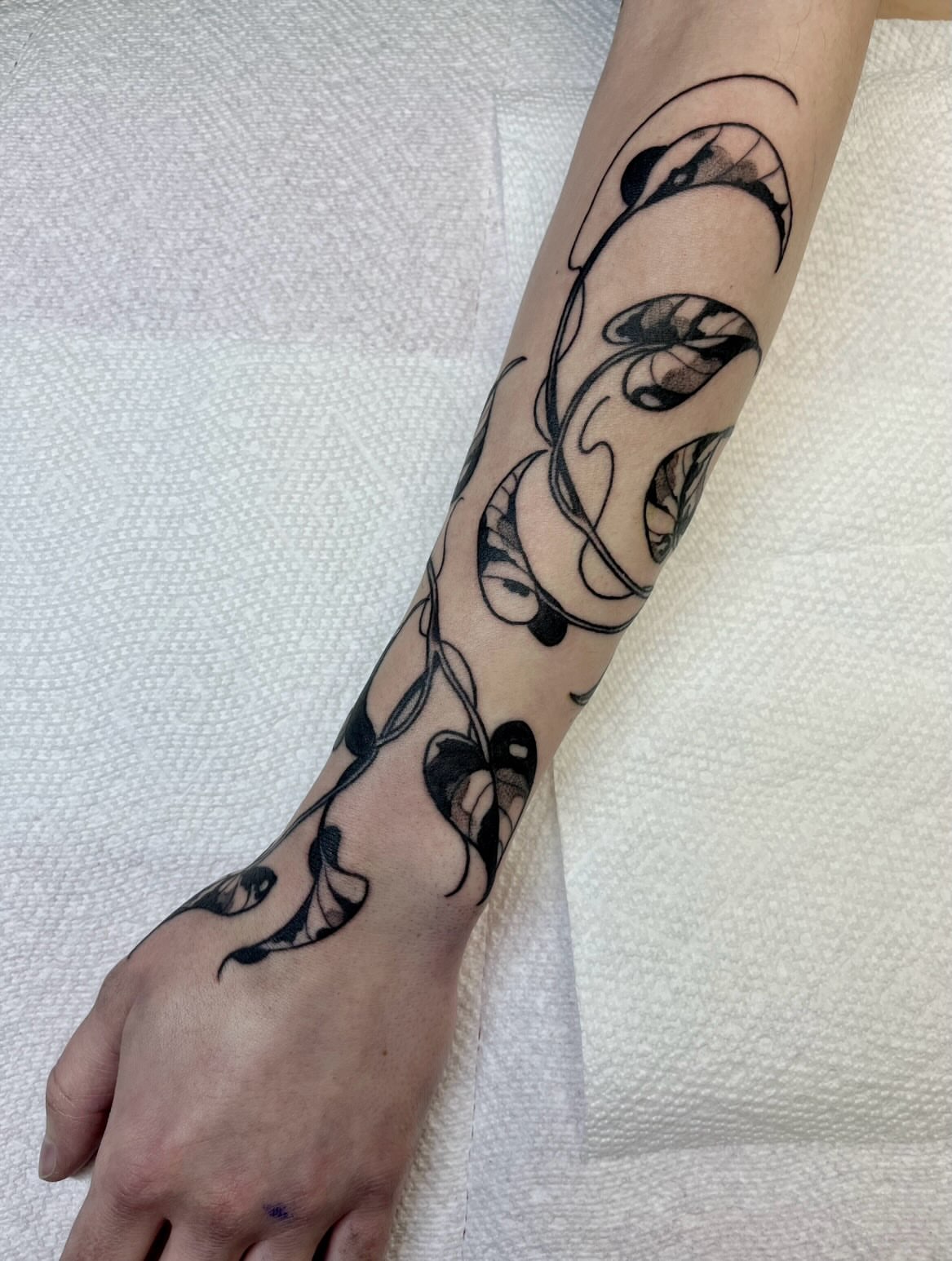 Serpent and leaves black and grey tattoo on the forearm by ᴴᴬᴺᴺᴬᴴ ᴿᵁᴰᴰᴱᴸᴸ