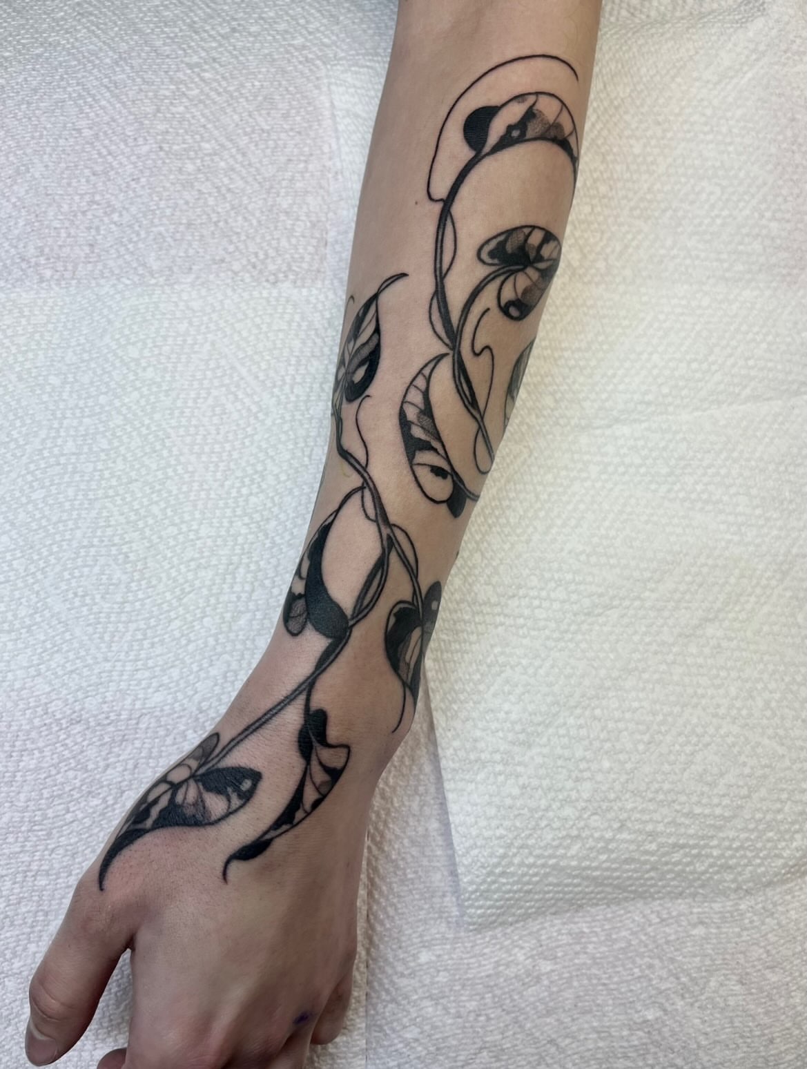 Floral vine black and grey tattoo on the forearm by ᴴᴬᴺᴺᴬᴴ ᴿᵁᴰᴰᴱᴸᴸ