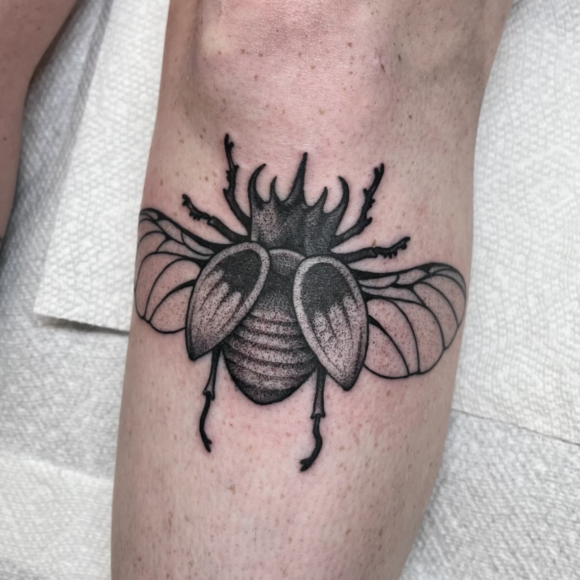 Beetle dotwork tattoo on the forearm by ᴴᴬᴺᴺᴬᴴ ᴿᵁᴰᴰᴱᴸᴸ