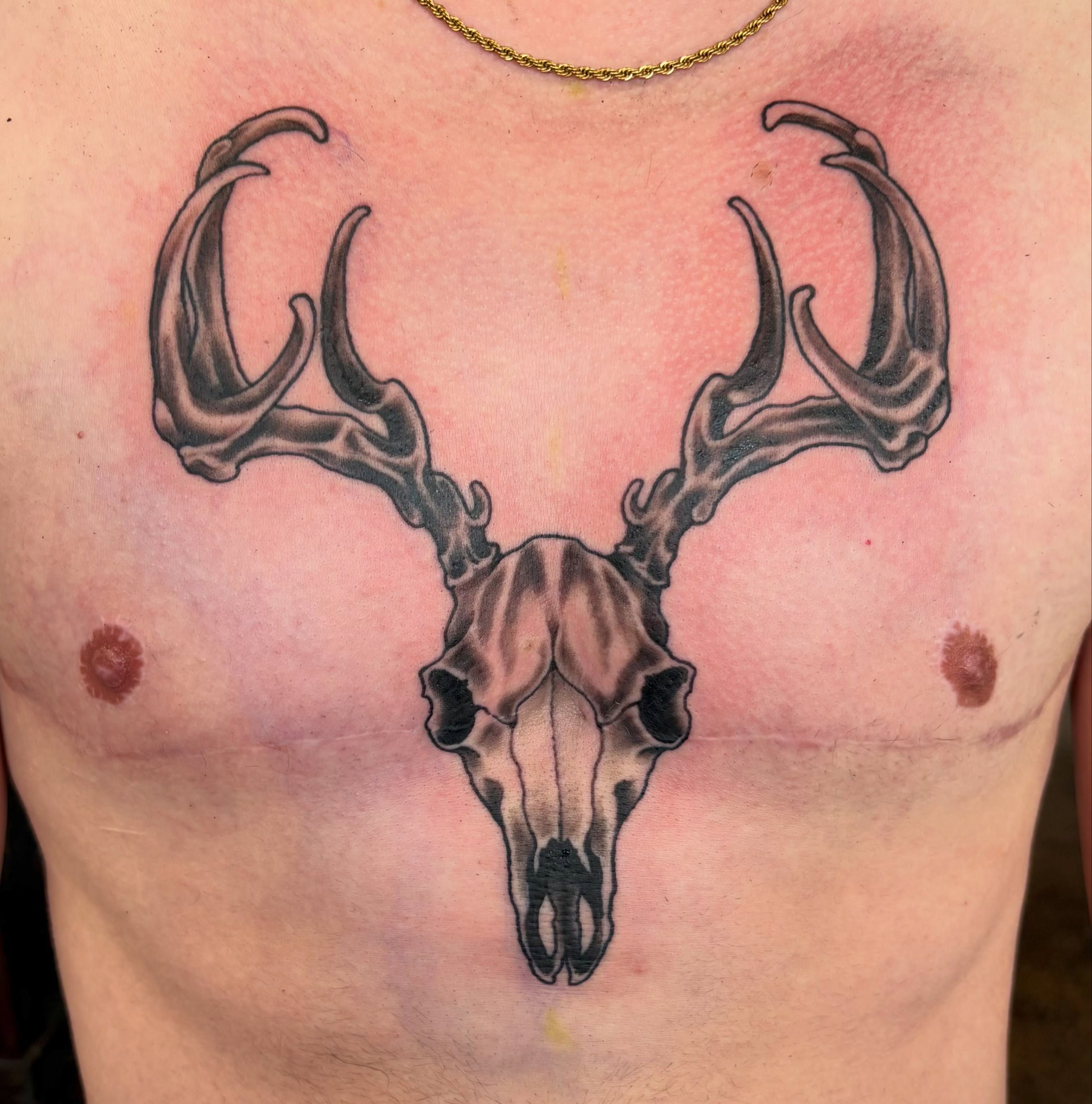 Deer skull black and grey tattoo on the chest by Gabby, Kansas City, Missouri