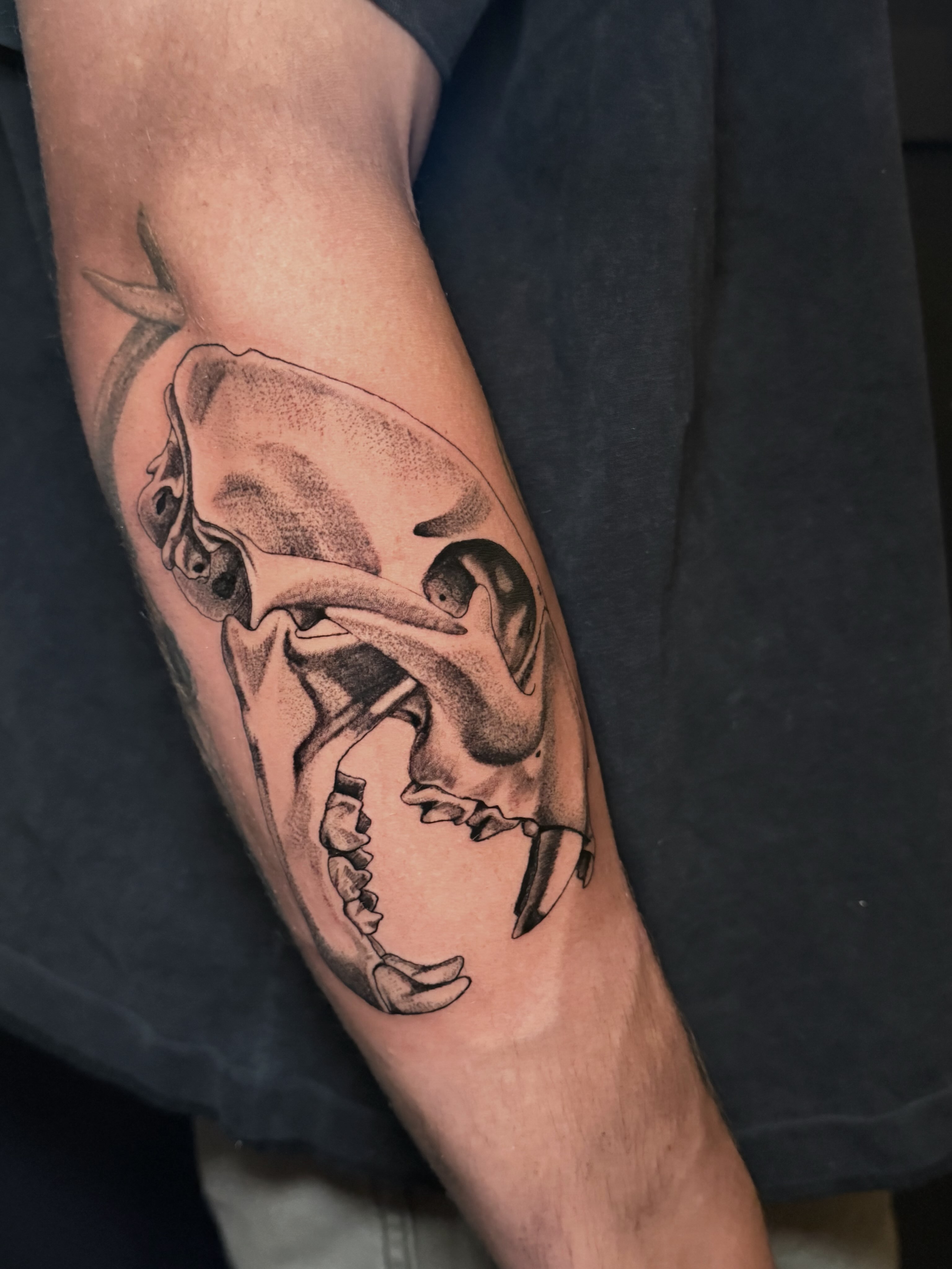 Skull black and grey tattoo on the forearm by Jess, Midvale, Utah