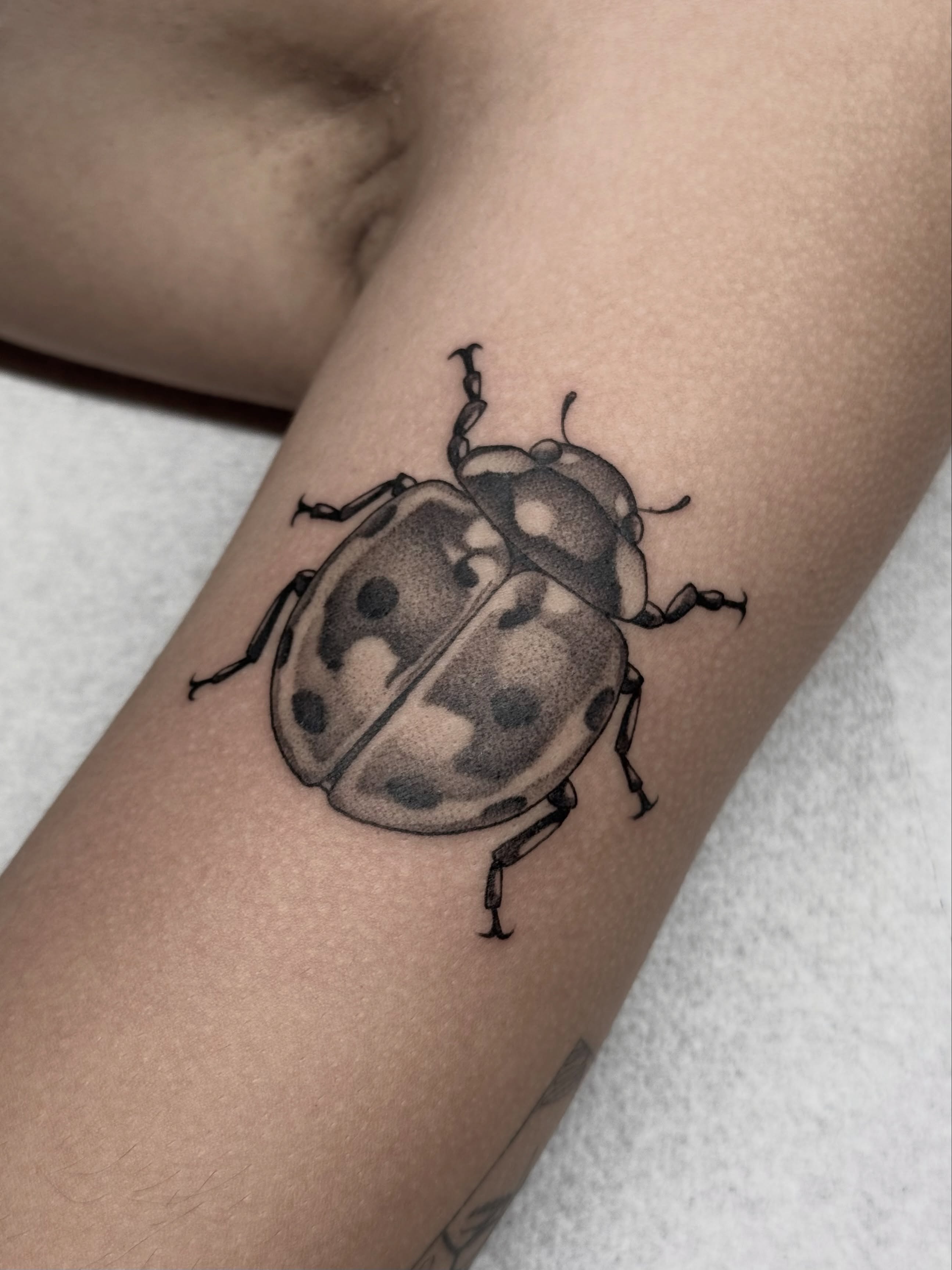 Ladybug dotwork tattoo on the forearm by Carlos Abad