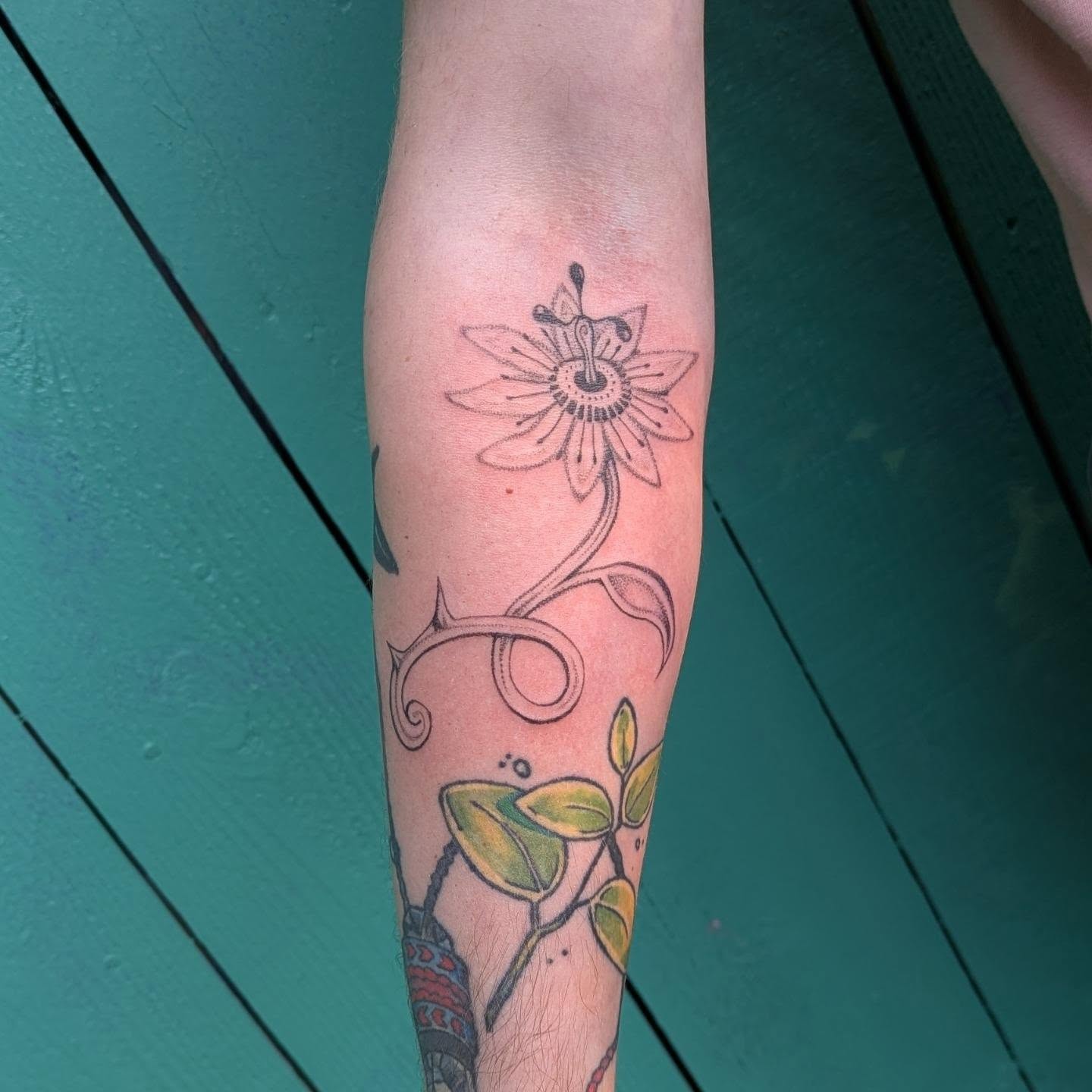 Passion flower dotwork tattoo on the forearm by theo, Portland, Oregon