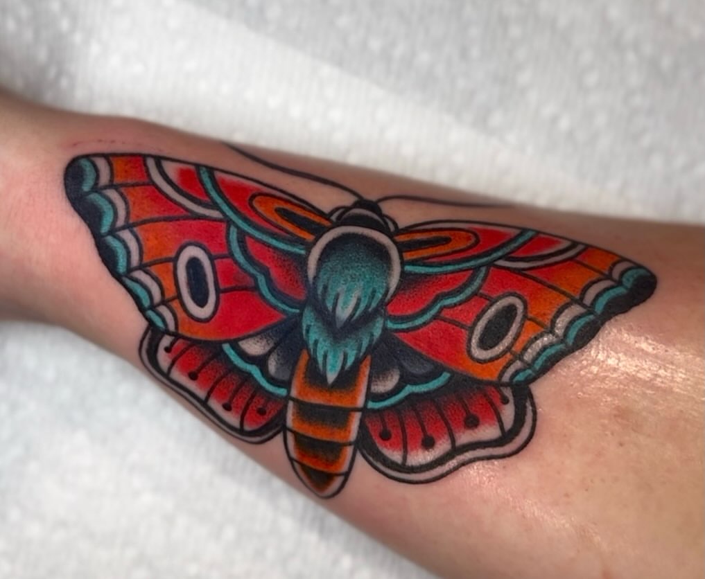 Moth American traditional tattoo on the forearm by Kiera ❤️‍🔥