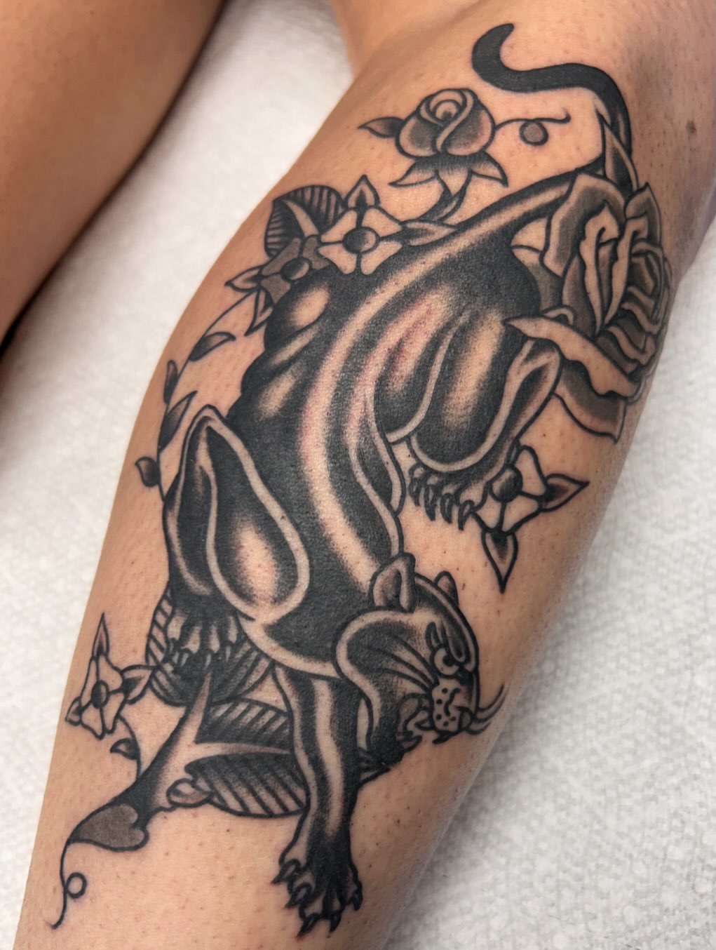 Lion and roses black and grey tattoo on the forearm by Tiffany Vargas