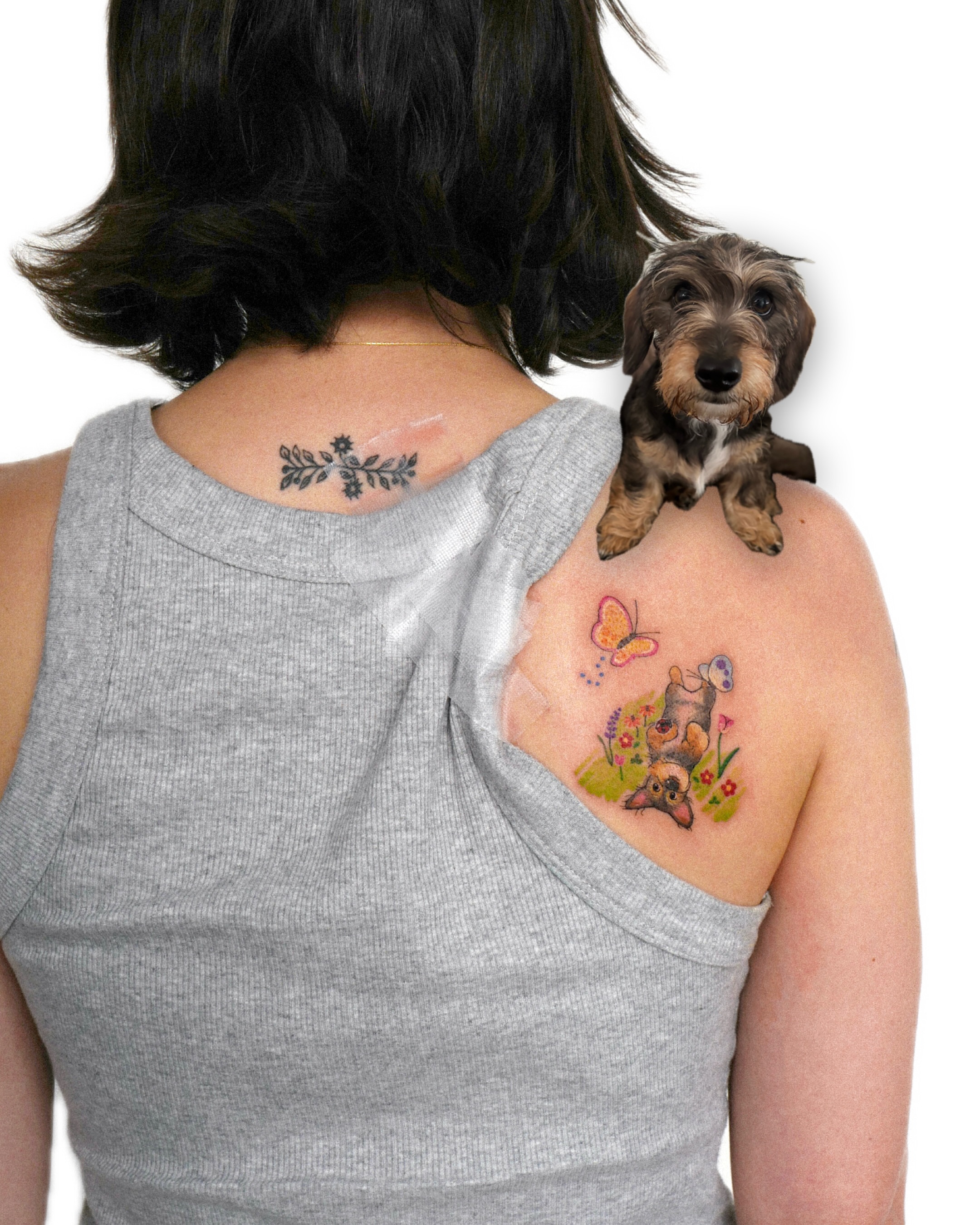 Dog and butterfly watercolor tattoo on the back by dahye lee