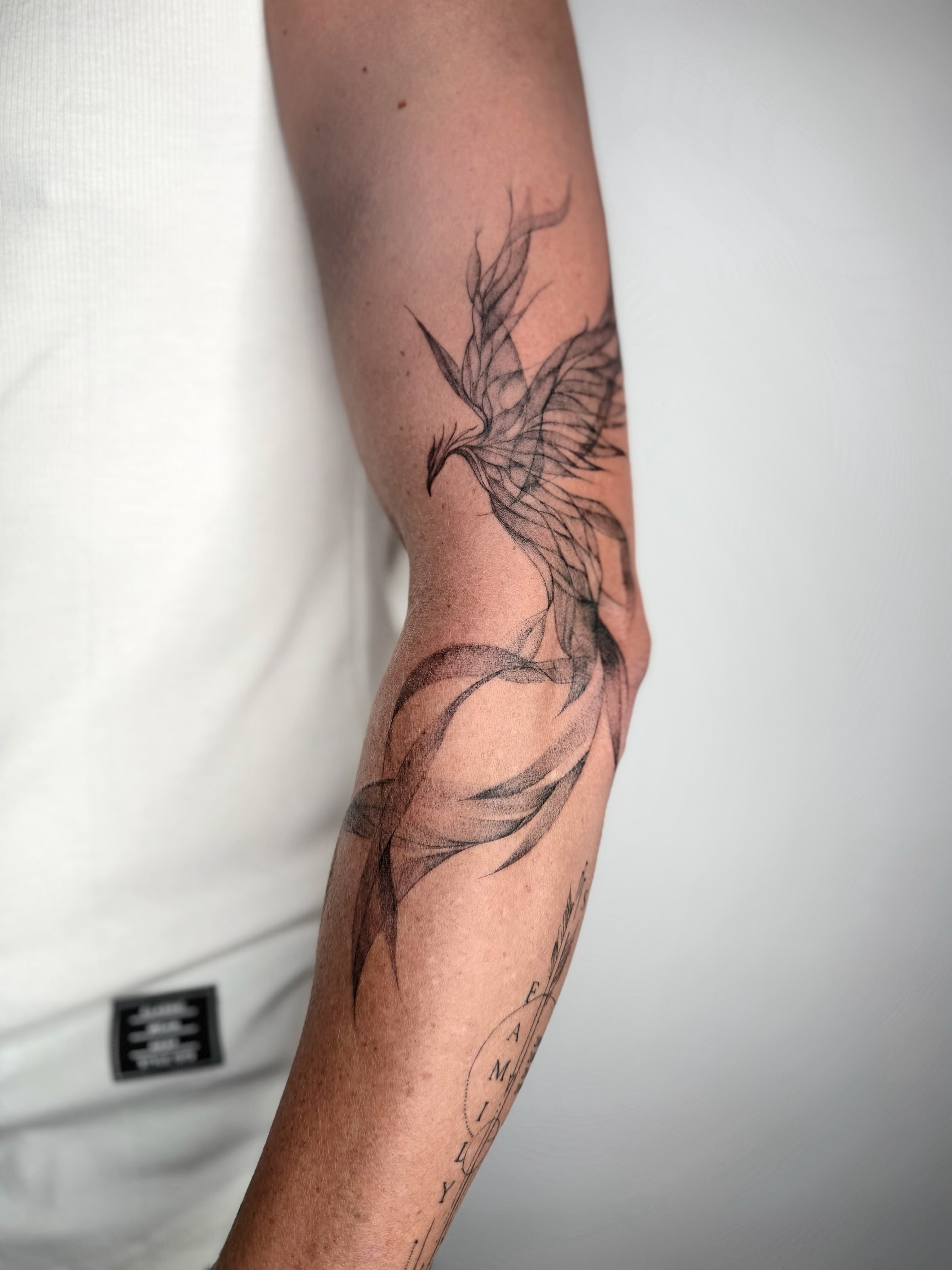 Phoenix black and grey tattoo on the forearm by ꜰɪɴᴇ ʟɪɴᴇ ᴛᴀᴛᴛᴏᴏꜱ