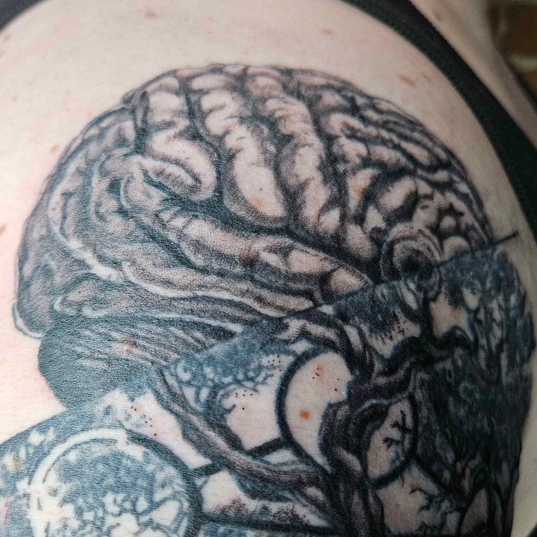 Brain realism tattoo on the shoulder by Iram Withencroft
