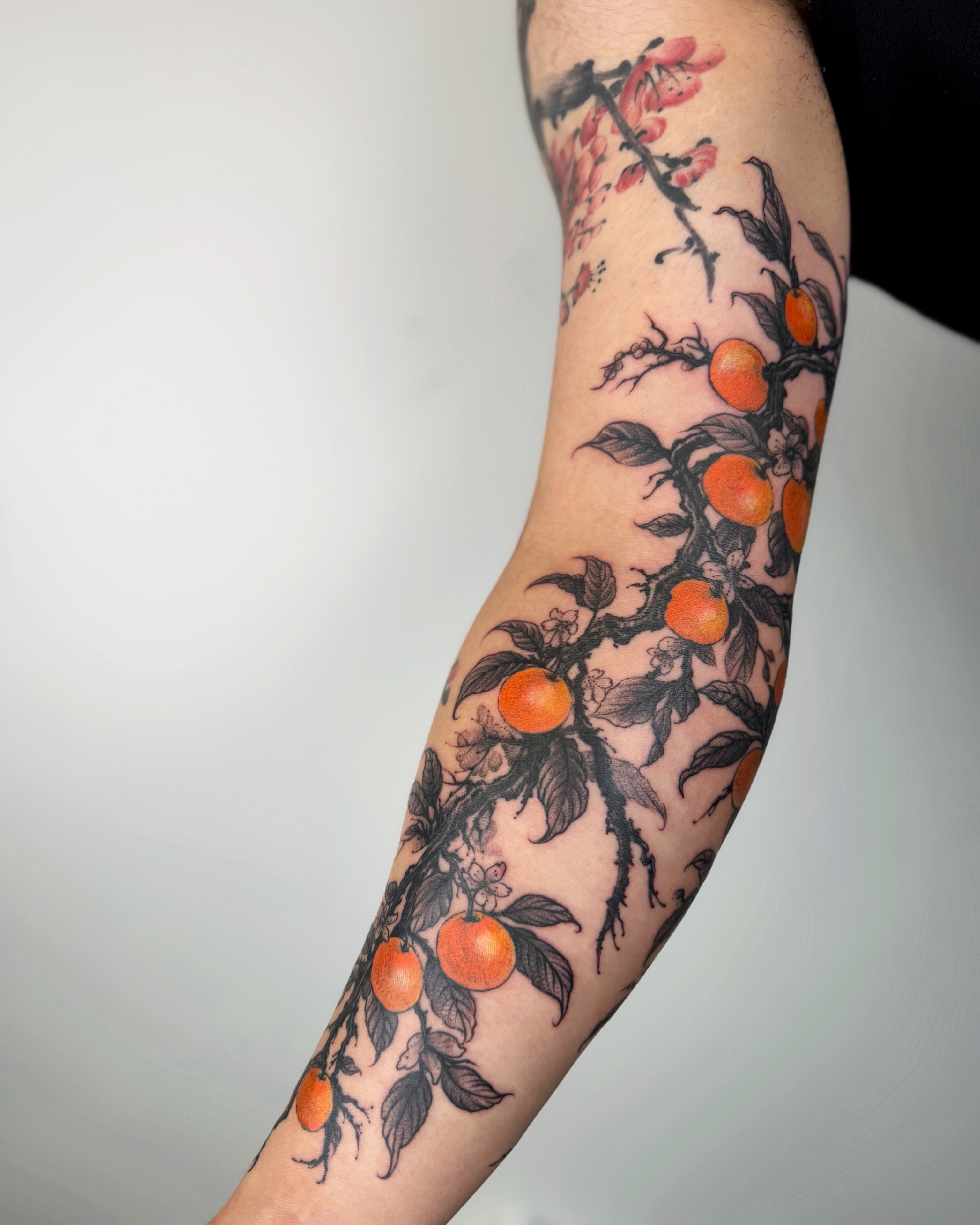 Orange tree black and grey tattoo on the forearm by Jiang_Tattooer