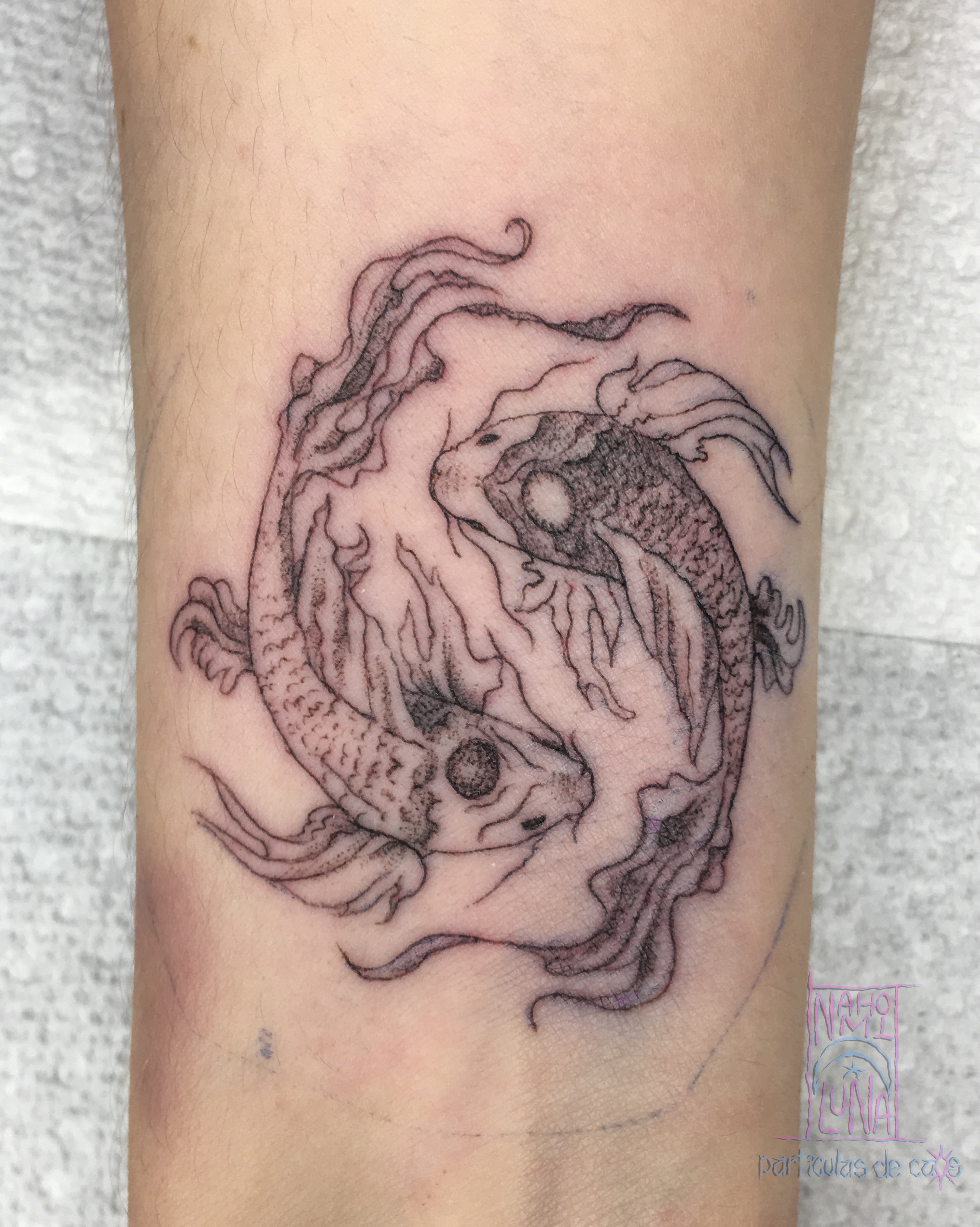 Koi fish black and grey tattoo on the forearm by Nahomi Luna - Memphis & Cordova Tattoo, Memphis, Tennessee