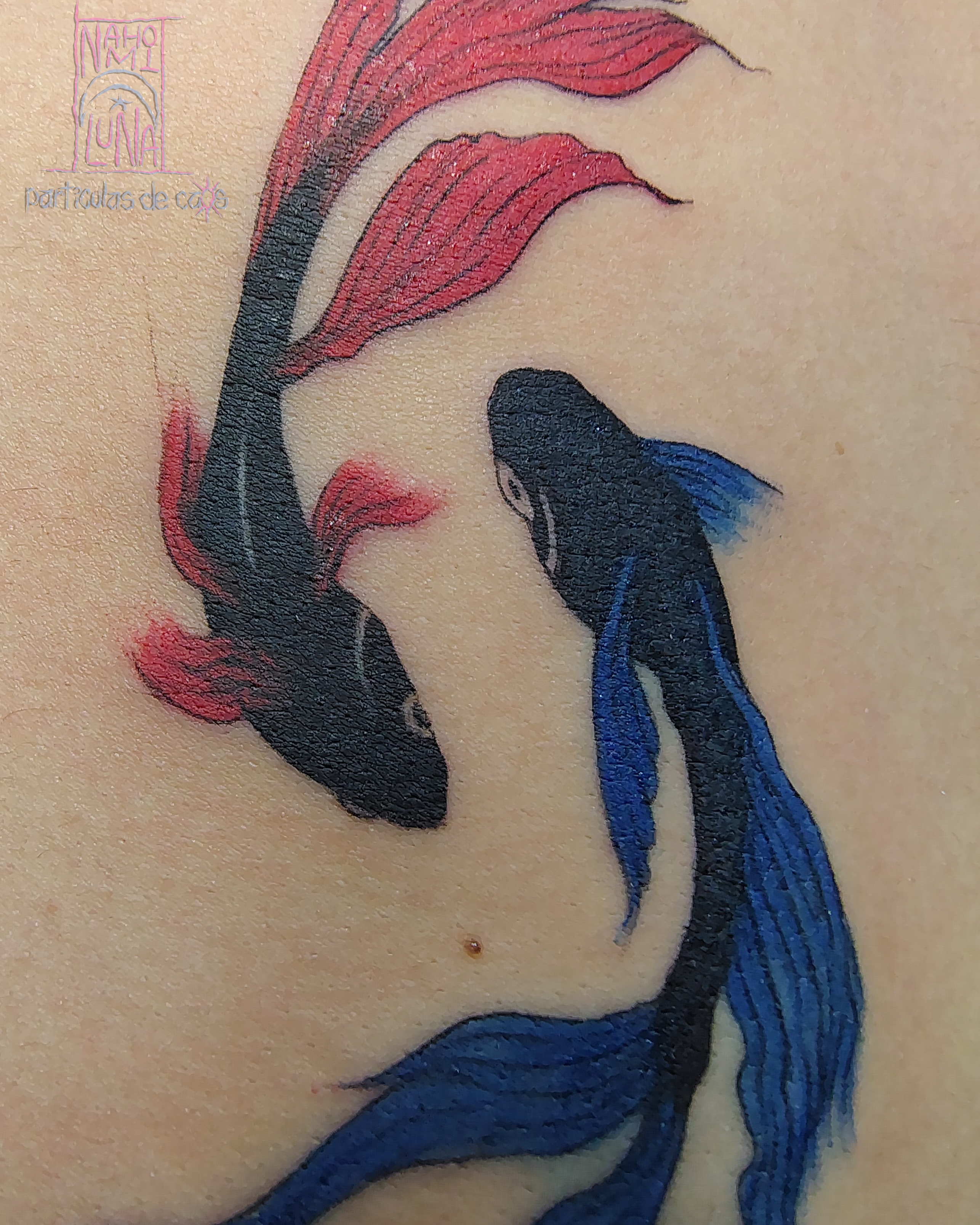 Mermaid realism tattoo on the torso by Nahomi Luna - Memphis & Cordova Tattoo, Memphis, Tennessee