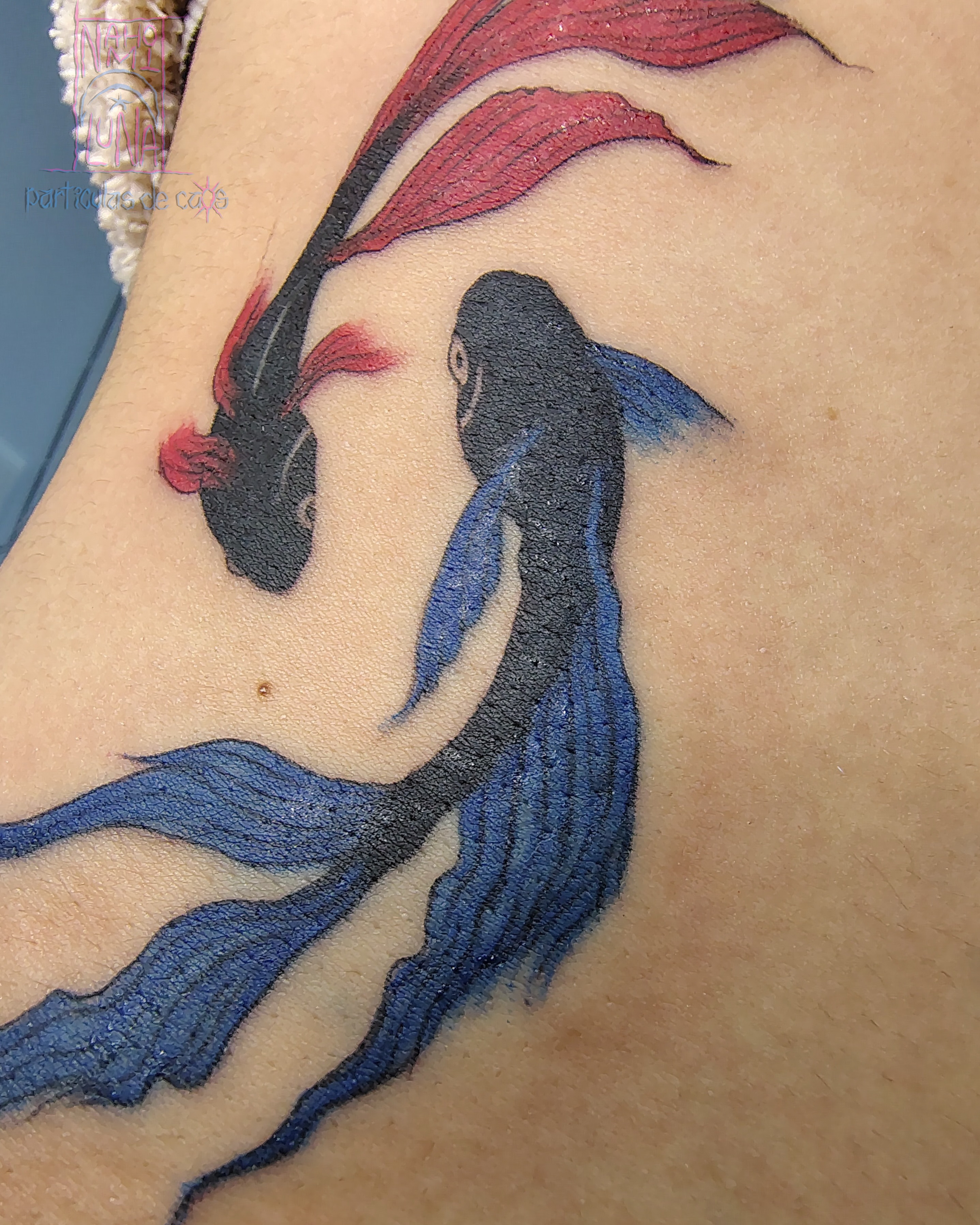 Fish realism tattoo on the upper arm by Nahomi Luna - Memphis & Cordova Tattoo, Memphis, Tennessee