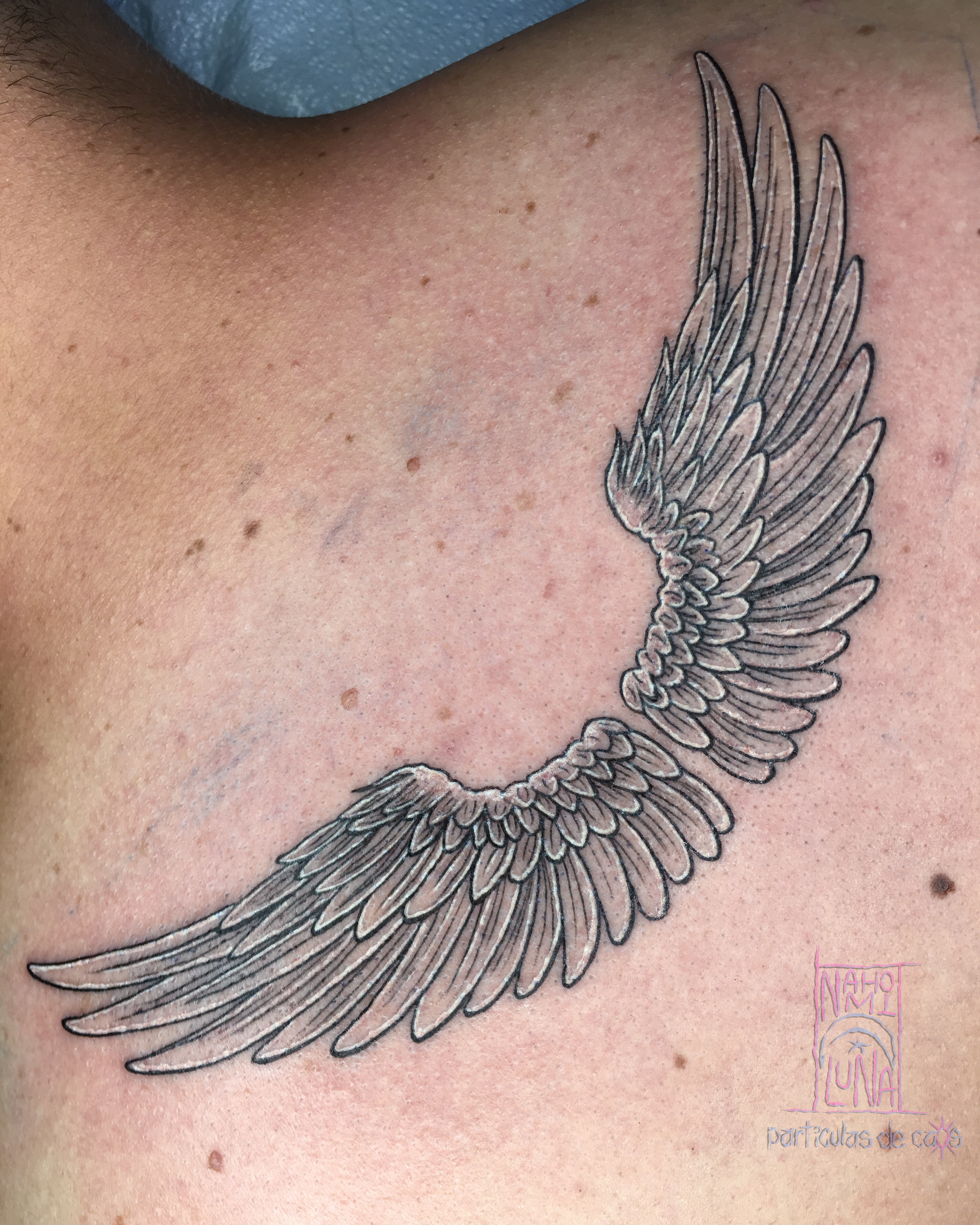 Wings black and grey tattoo on the chest by Nahomi Luna - Memphis & Cordova Tattoo, Memphis, Tennessee