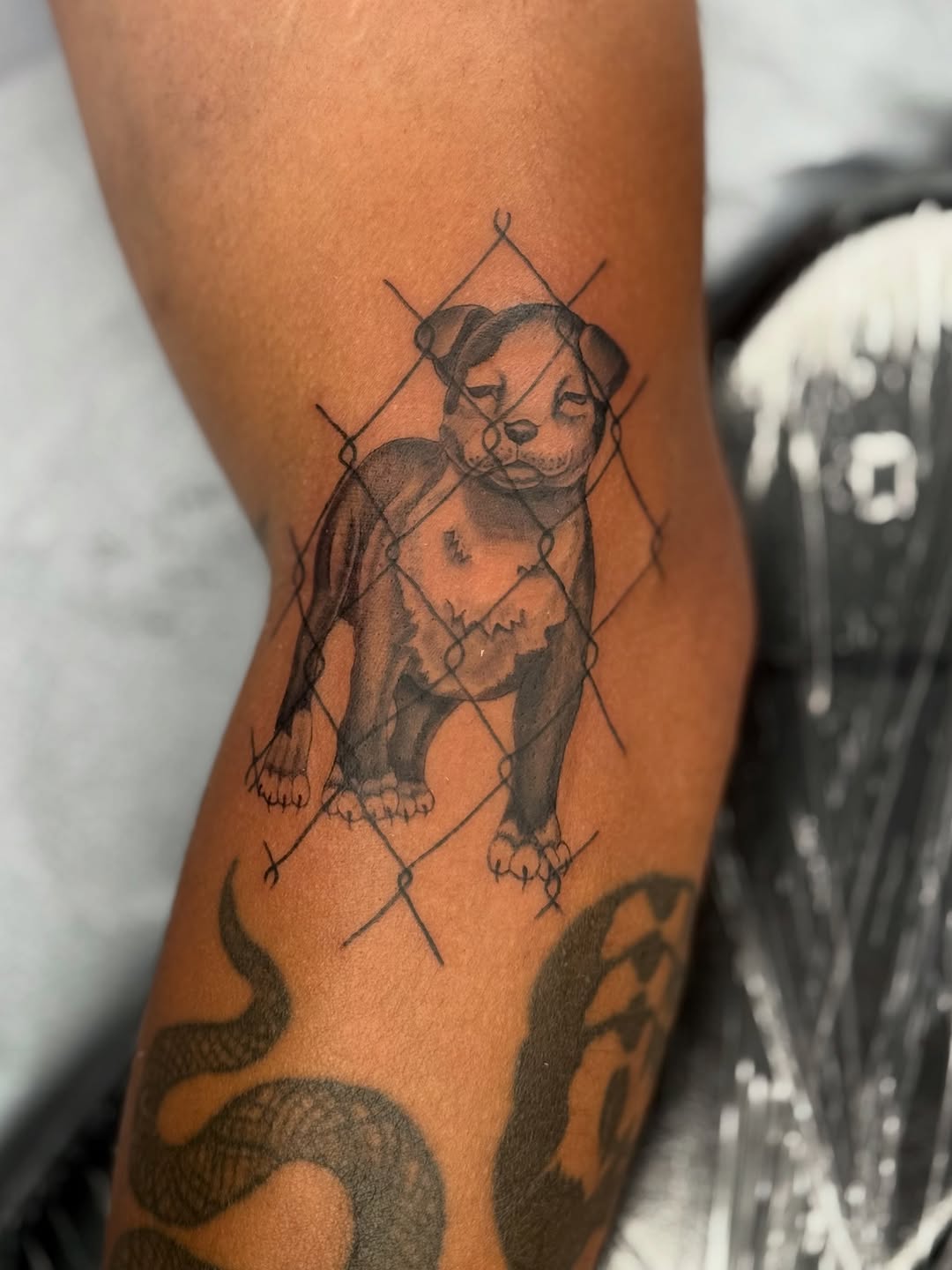 Tattoo by @mijita_tatz — realism, black_and_grey