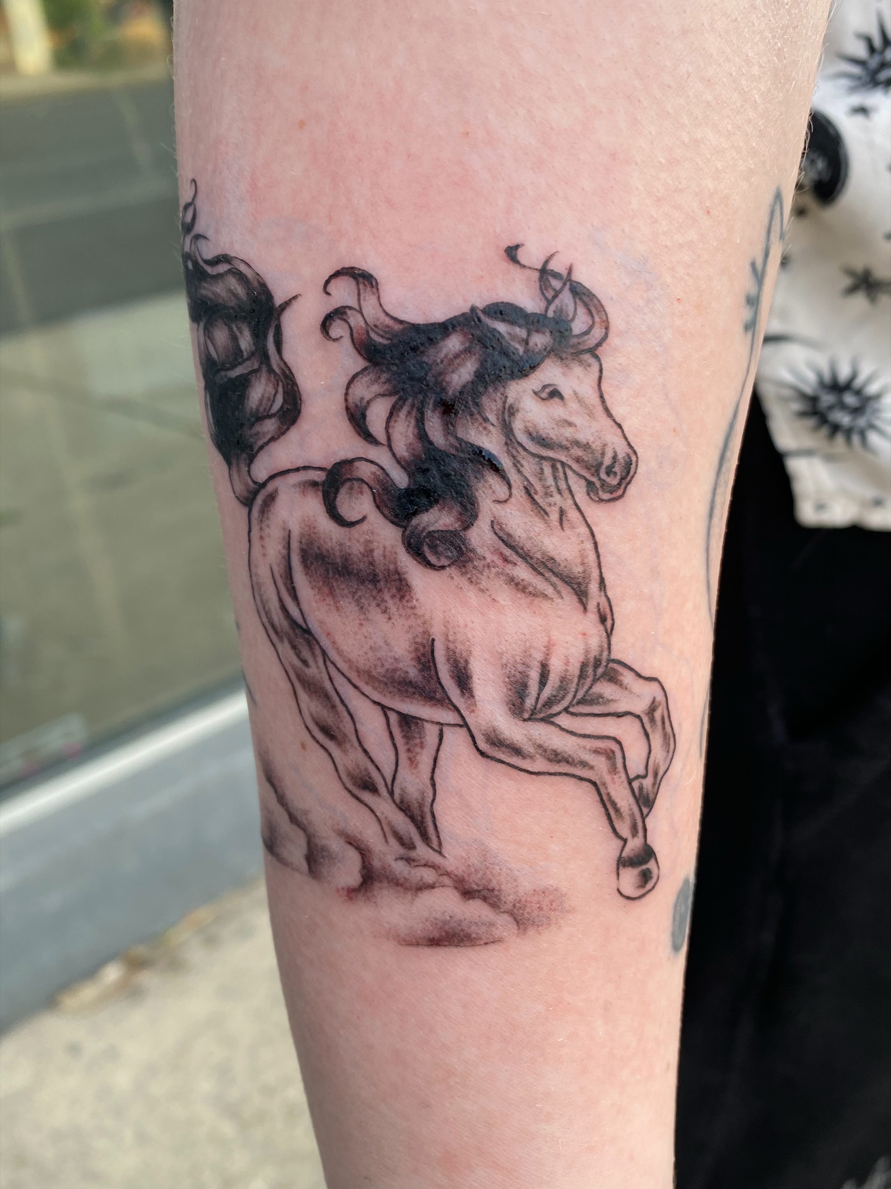 Galloping horse black and grey tattoo on the forearm by Mack ๐ Utah Tattoos