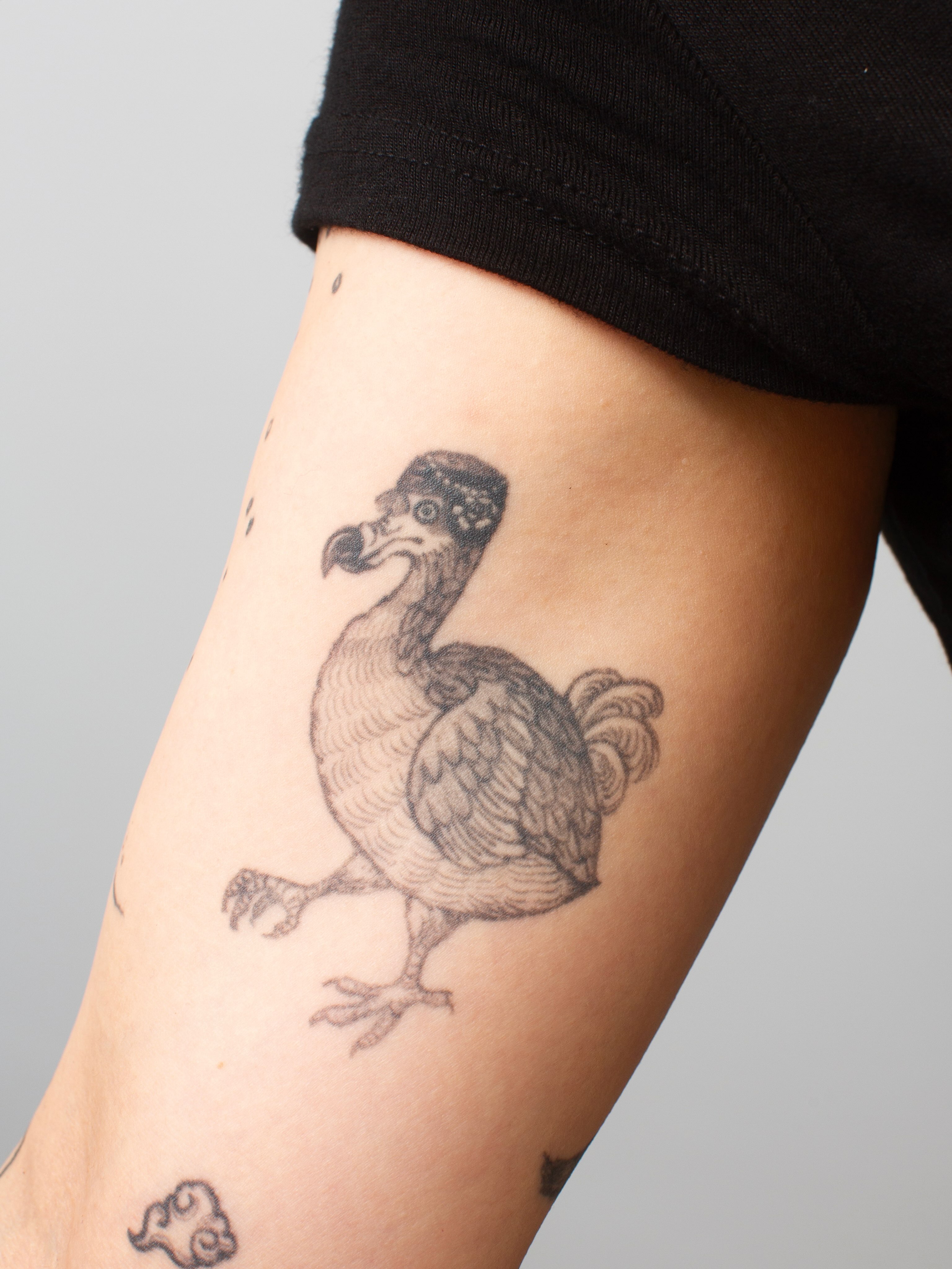 Dodo bird black and grey tattoo on the forearm by Taeyeon▪️Tattoos are literature🇰🇷