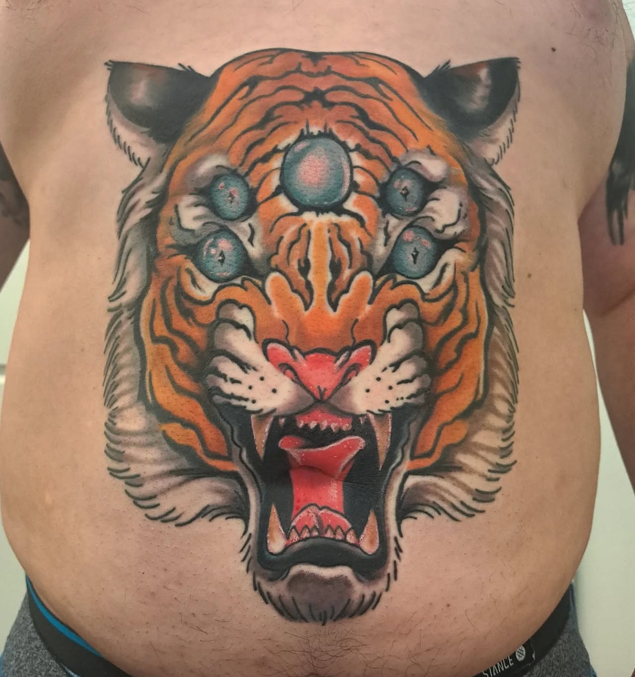 Roaring tiger American traditional tattoo on the chest by Jake Mincey