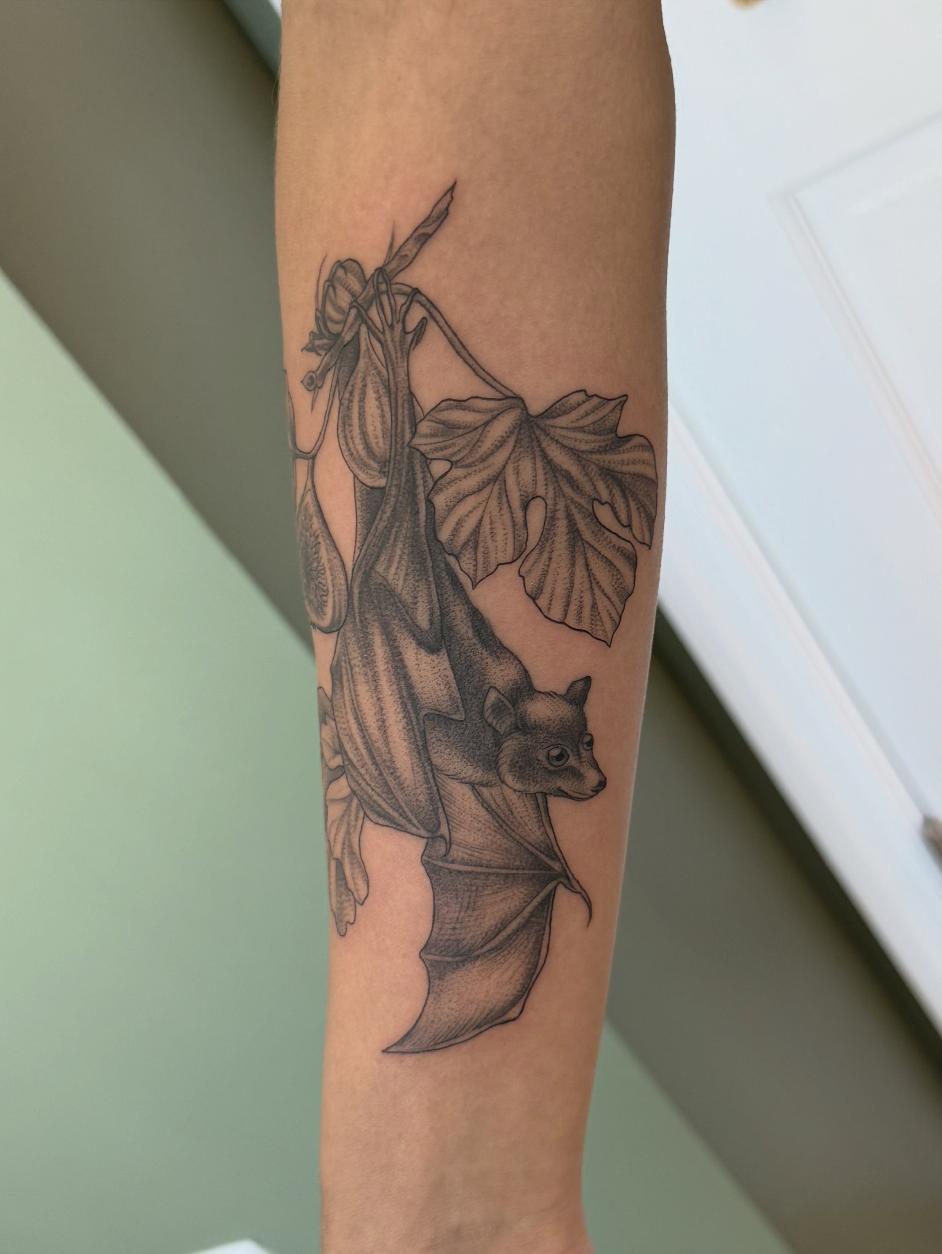 Bat hanging from vine black and grey tattoo on the forearm by ๐ฐ๐๐ข๐๐๐ ๐๐ฃ๐๐๐๐ข๐ชฟ