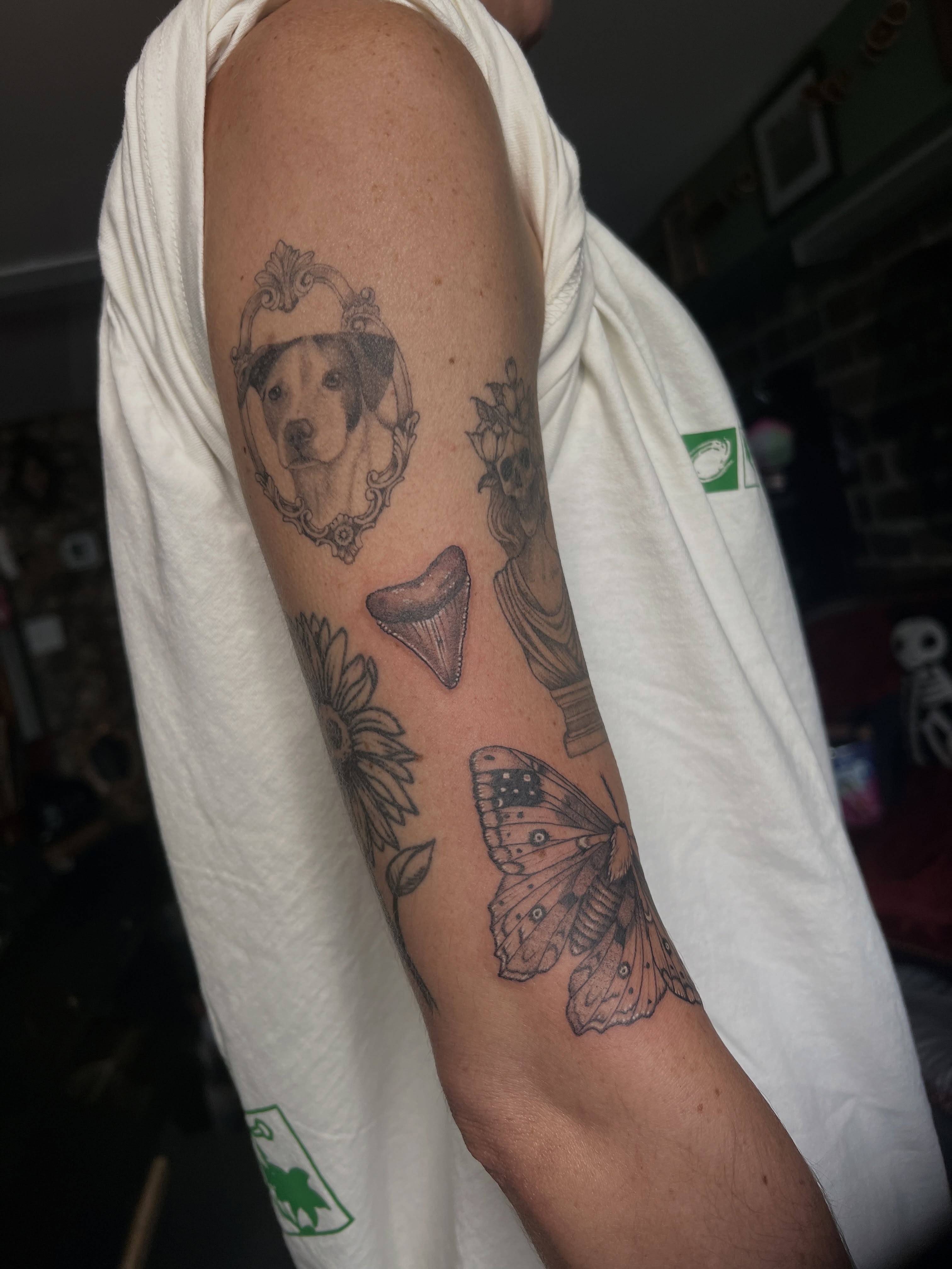 Dog portrait black and grey tattoo on the forearm by ✶ H A N N A H K A y ✶