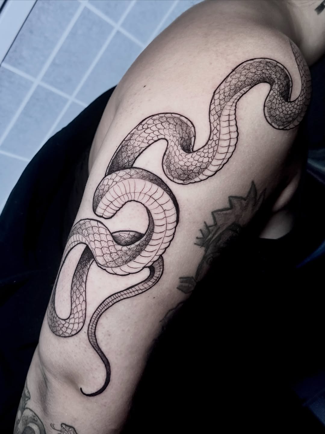 Snake realism tattoo on the upper arm by โญ๐ฌ๐ฒ๐ฏ๐ฑ๐ซ๐ข๐ถ