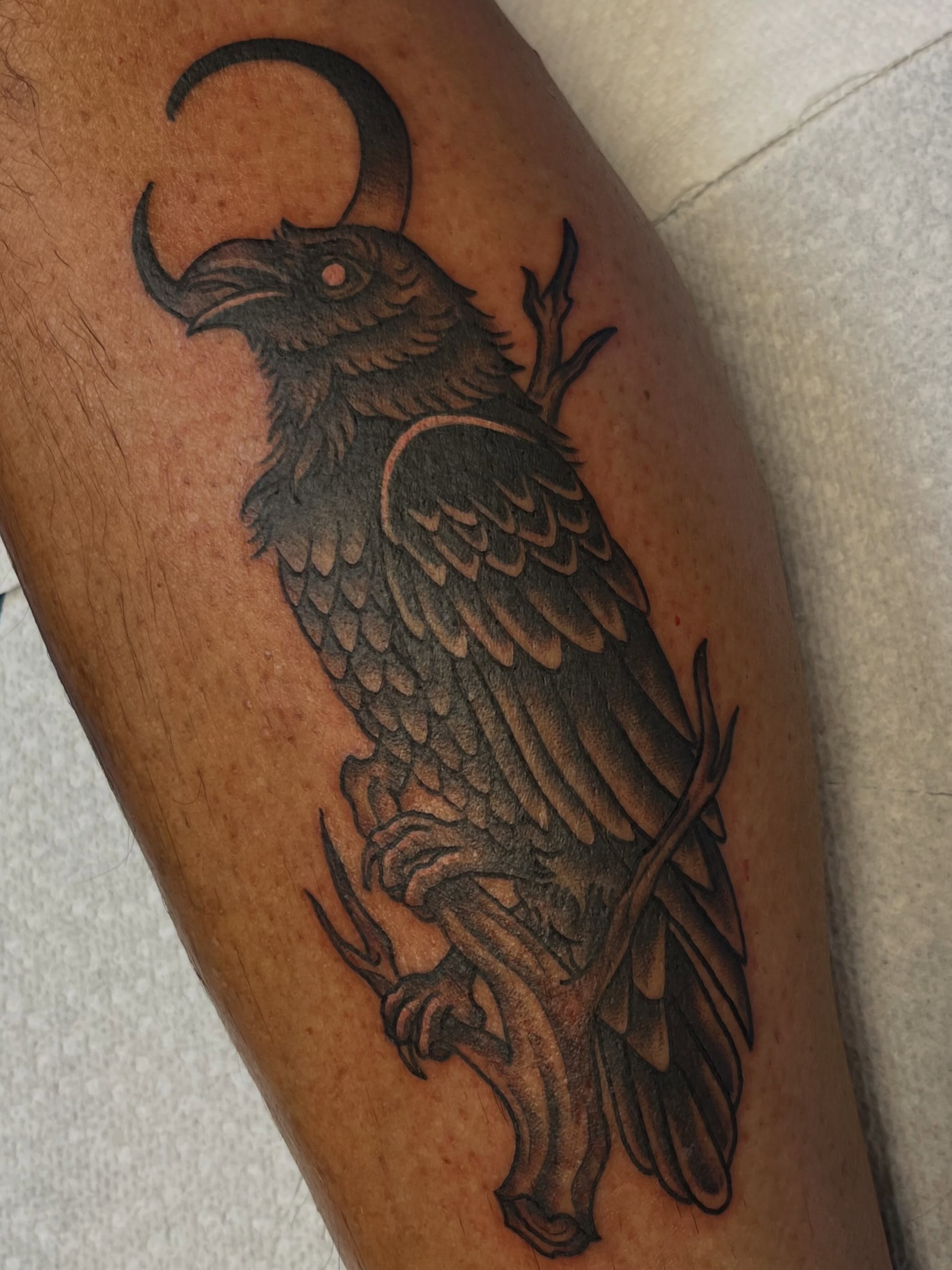 Crow black and grey tattoo on the forearm by Danielle Lorandeau