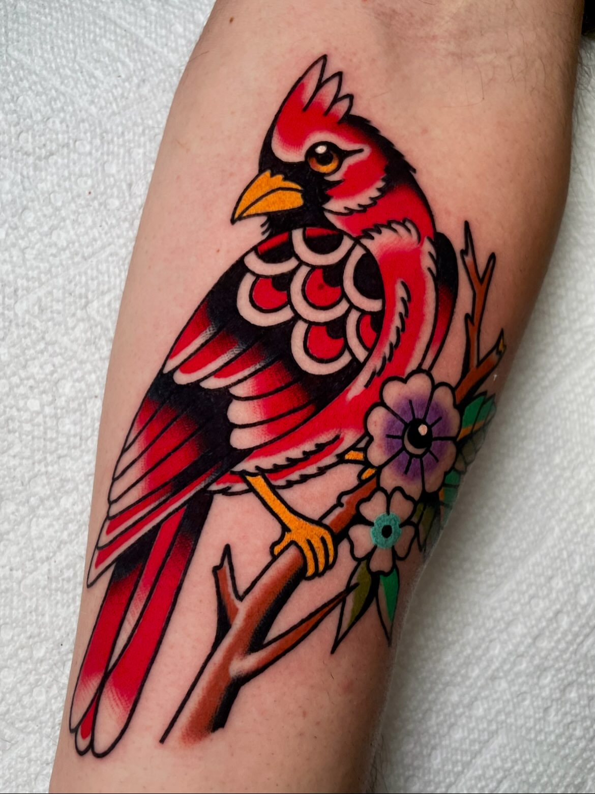 Cardinal bird American traditional tattoo on the forearm by Ryan McDonald