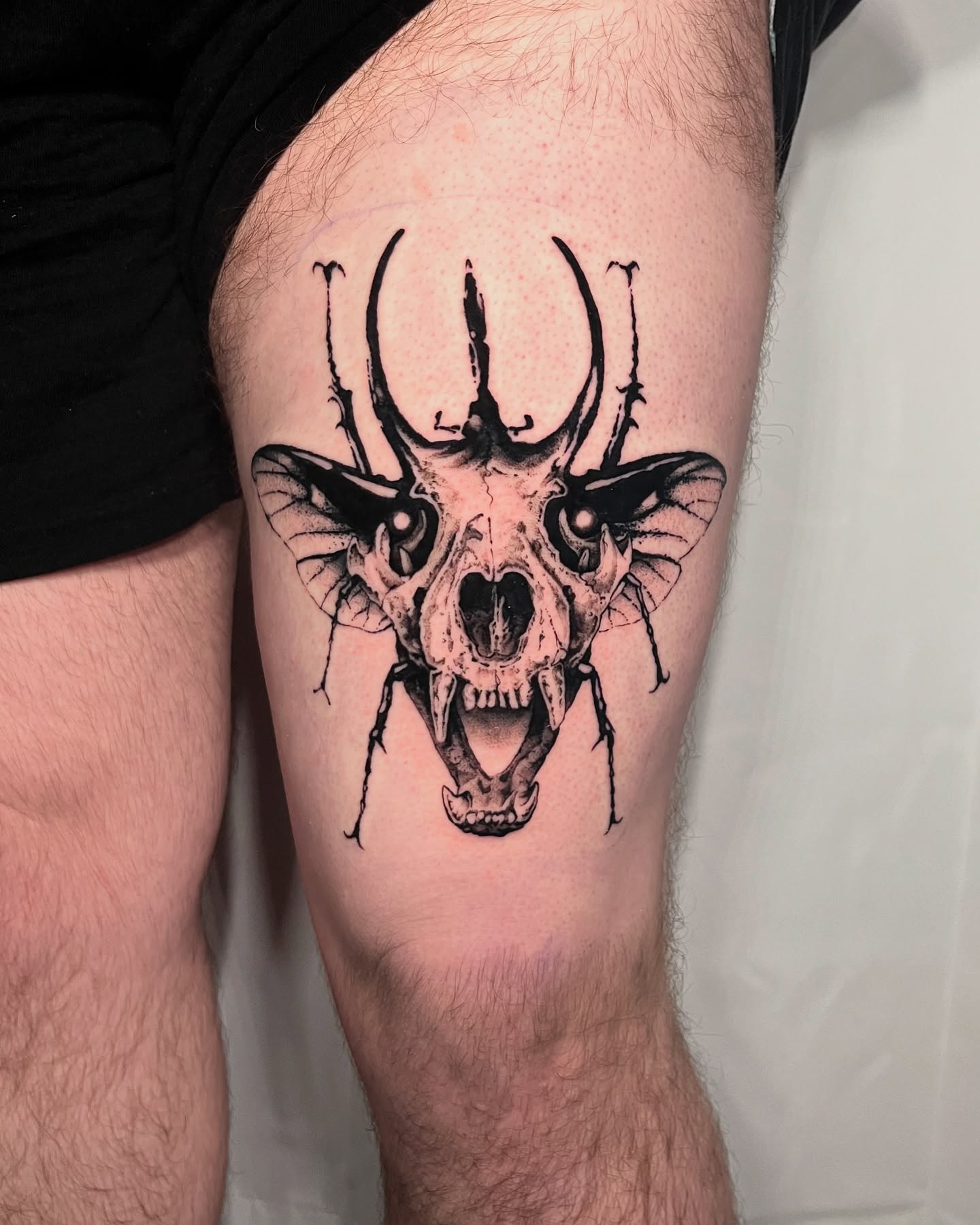 Deer skull realism tattoo on the thigh by Cameron Jenkins