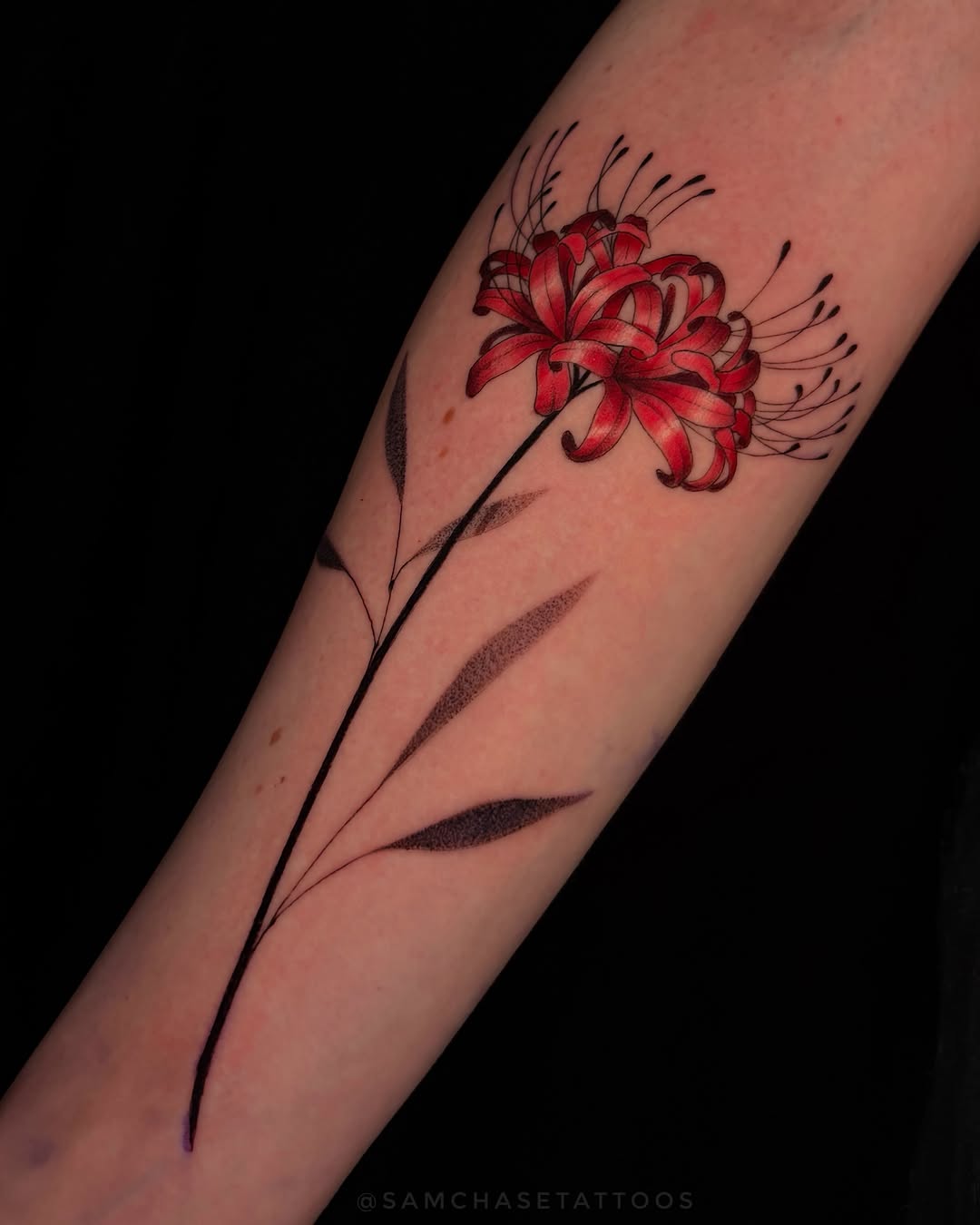 Tattoo by @samiamthesam — fine_line, dotwork