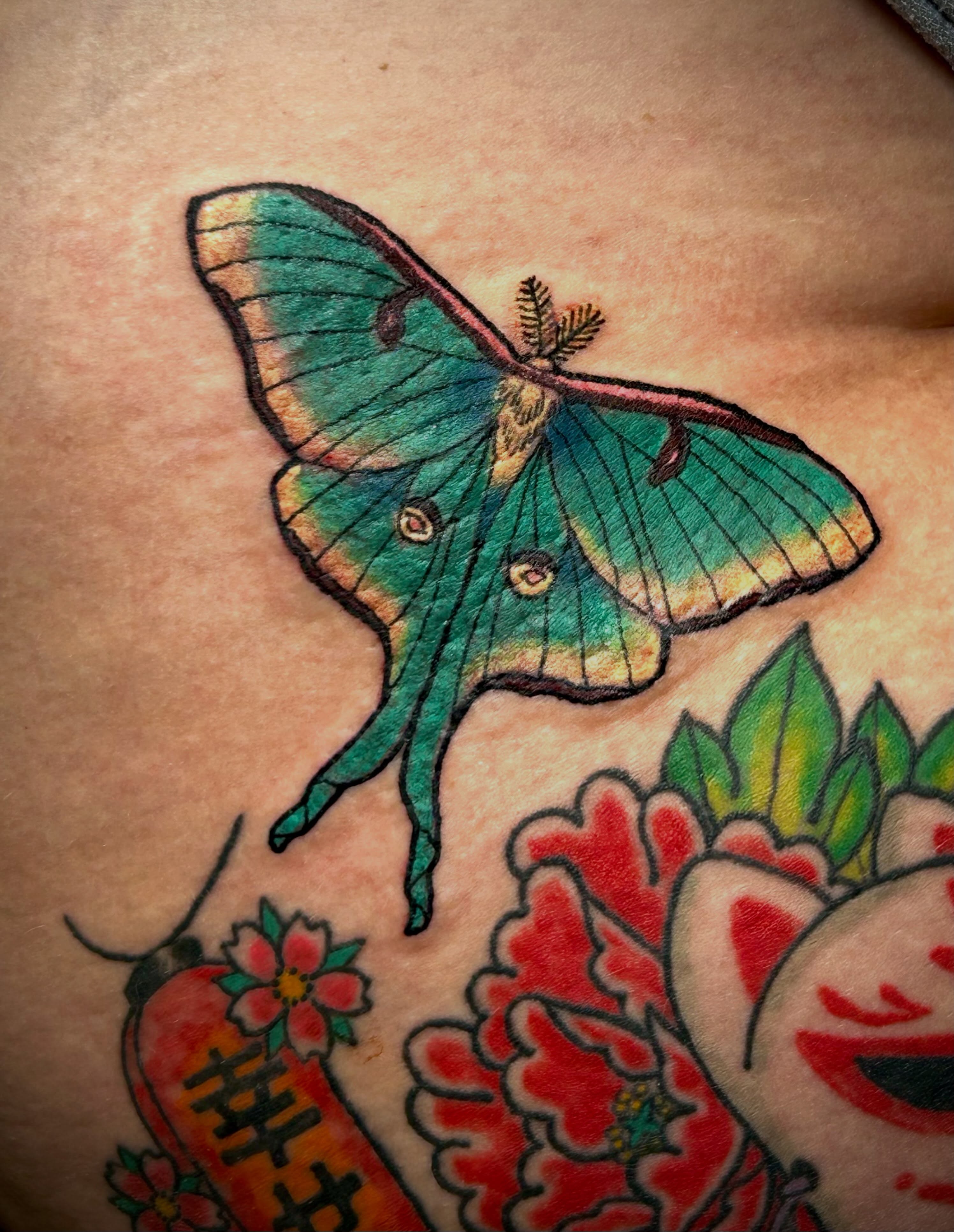 Moon moth American traditional tattoo on the torso by Shayna Soderstrom, Columbus, Ohio