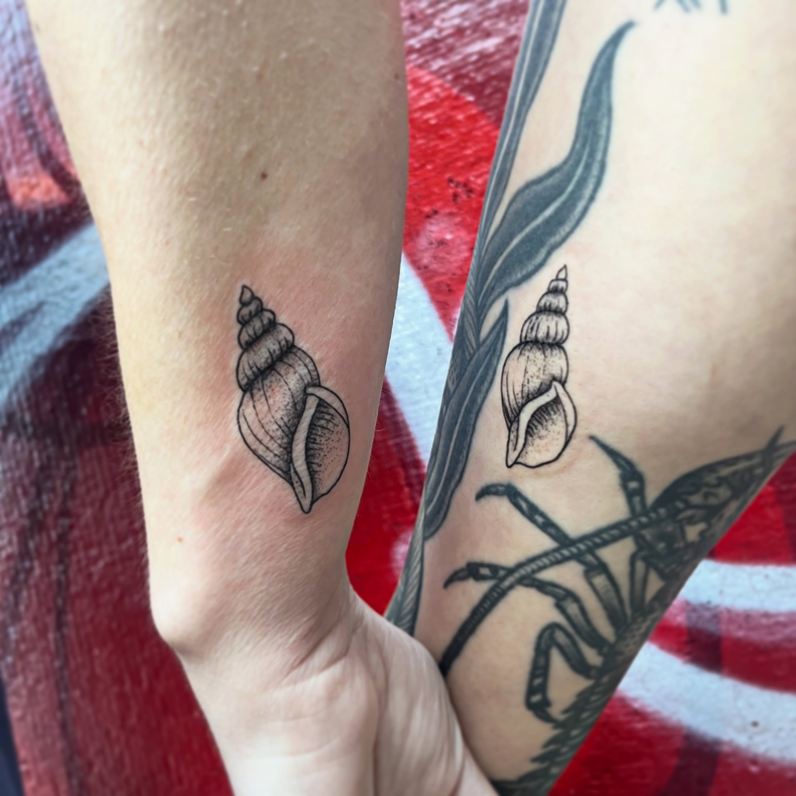 Shell black and grey tattoo on the forearm by Elle Miller