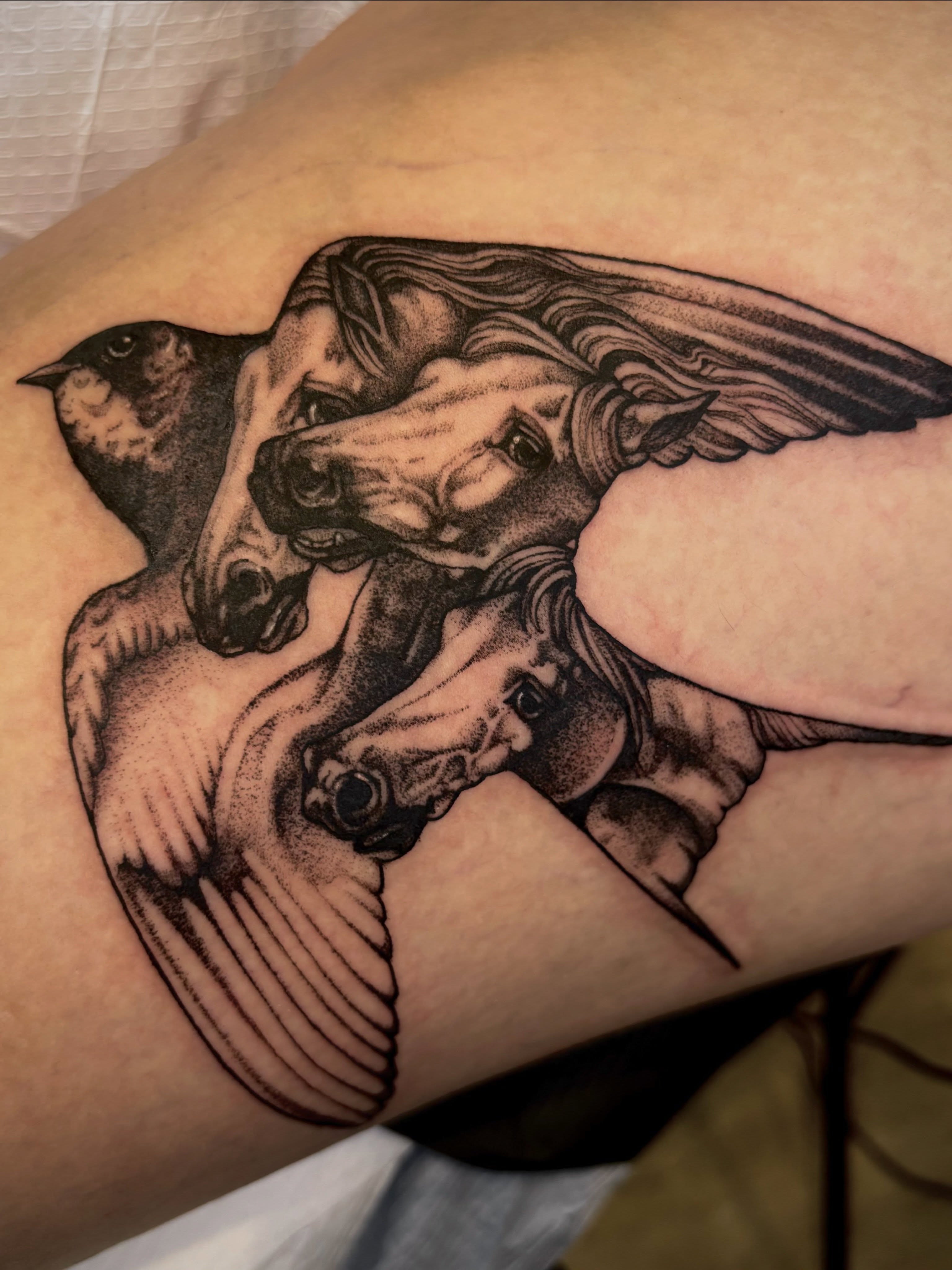 Unicorns and bird realism tattoo on the forearm by Tara, Exeter, Pennsylvania
