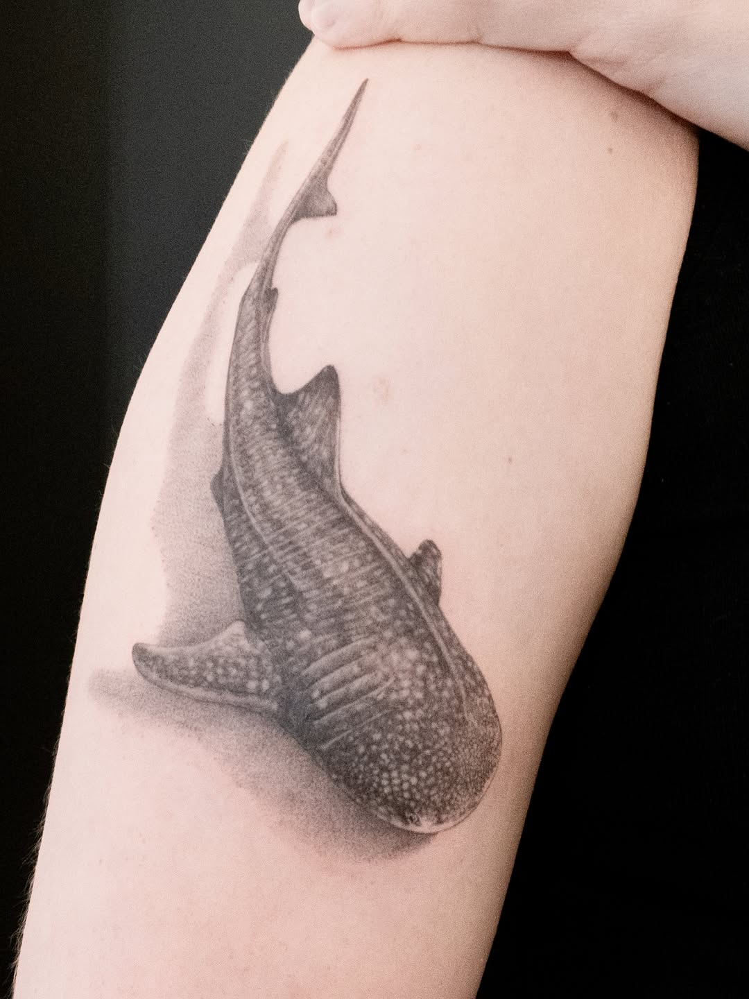 Tattoo by @junh_tattoo — realism, black_and_grey