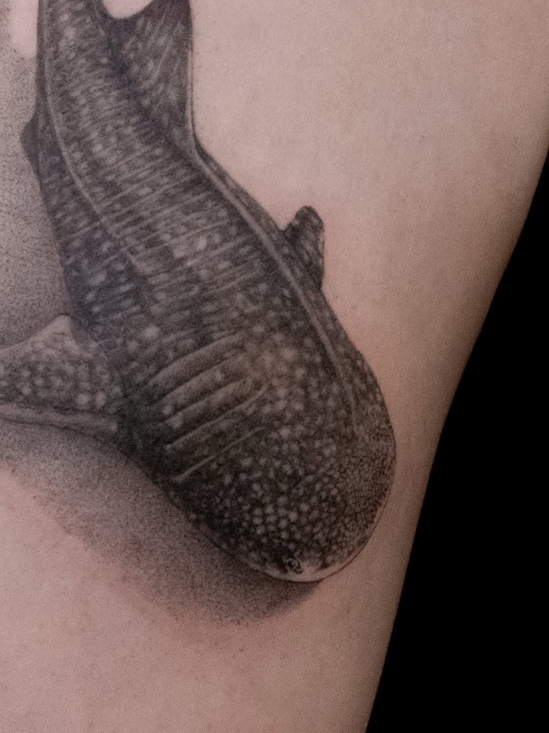 Tattoo by @junh_tattoo — realism, black_and_grey