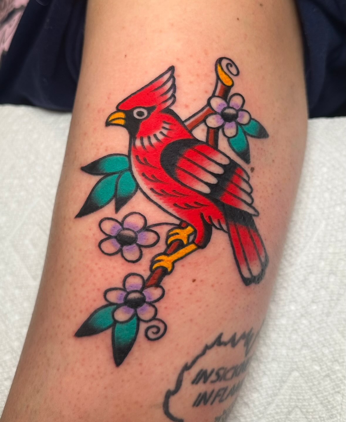 Cardinal bird American traditional tattoo on the forearm by Zahra Niedermann
