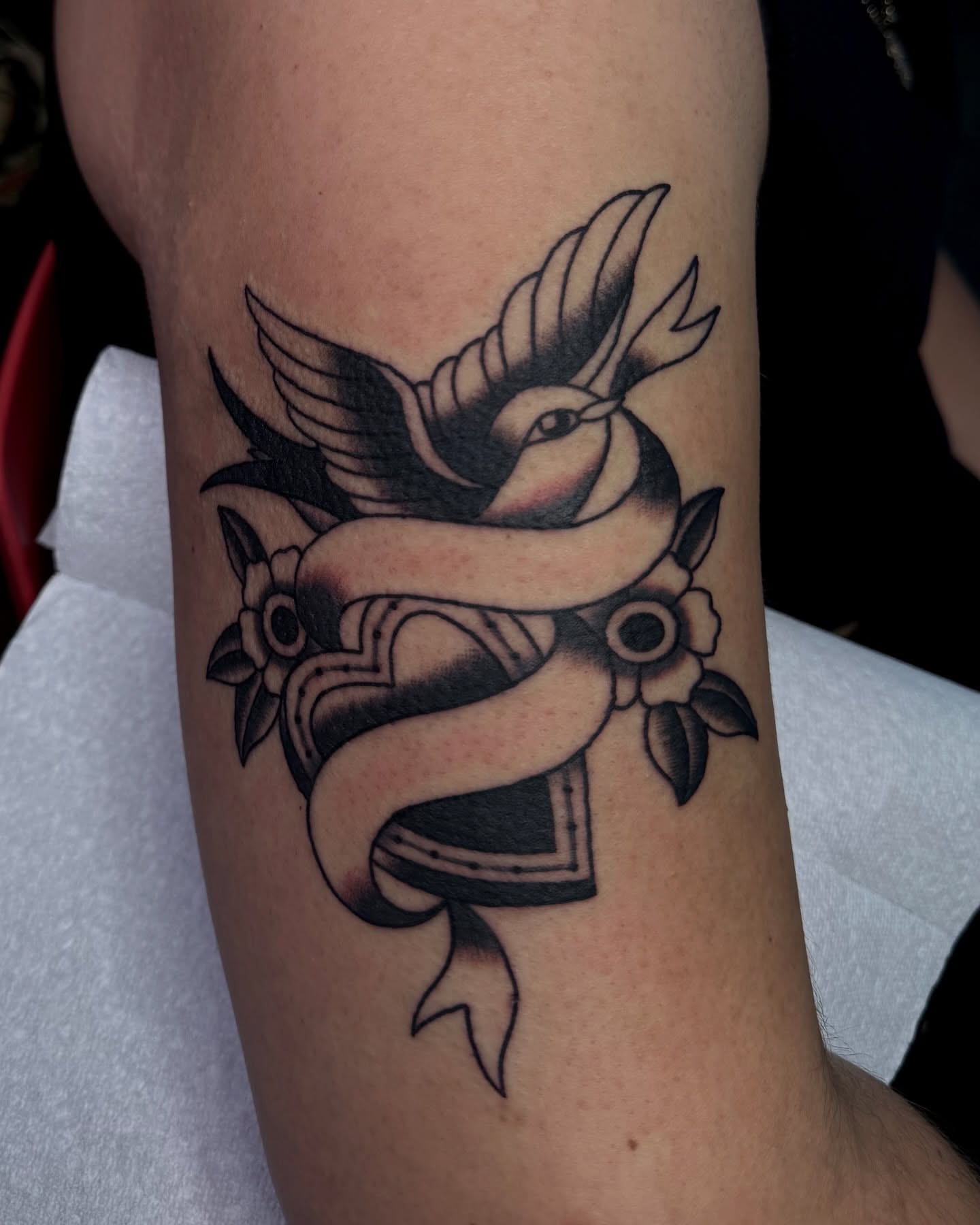 Bird and ribbon American traditional tattoo on the forearm by ＊ Carly James ＊