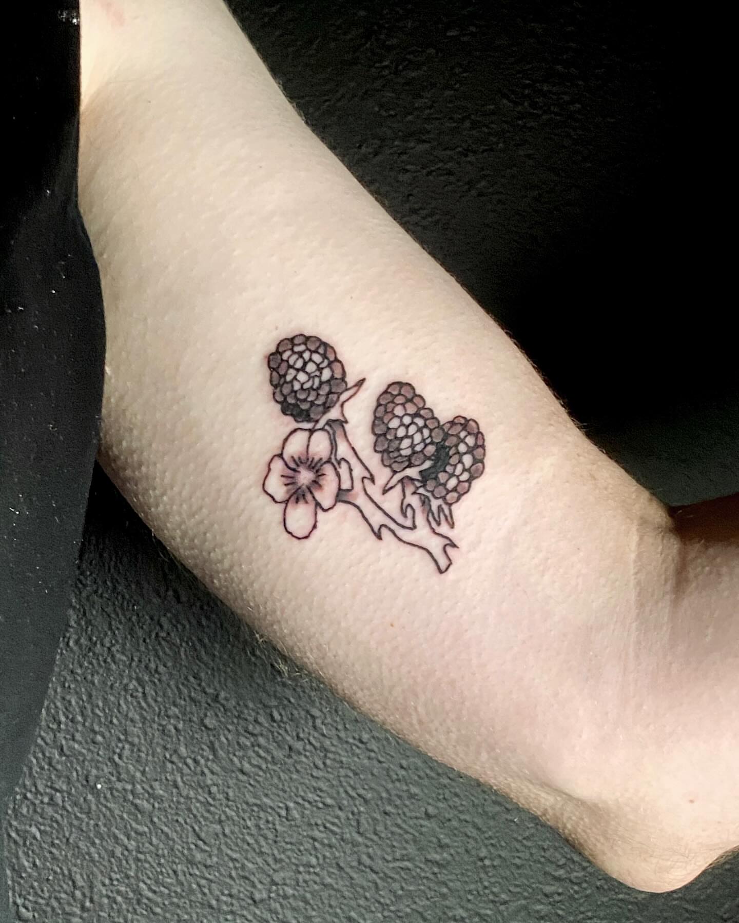 Blackberry branch with flower black and grey tattoo on the forearm by ollie, Portland, Oregon
