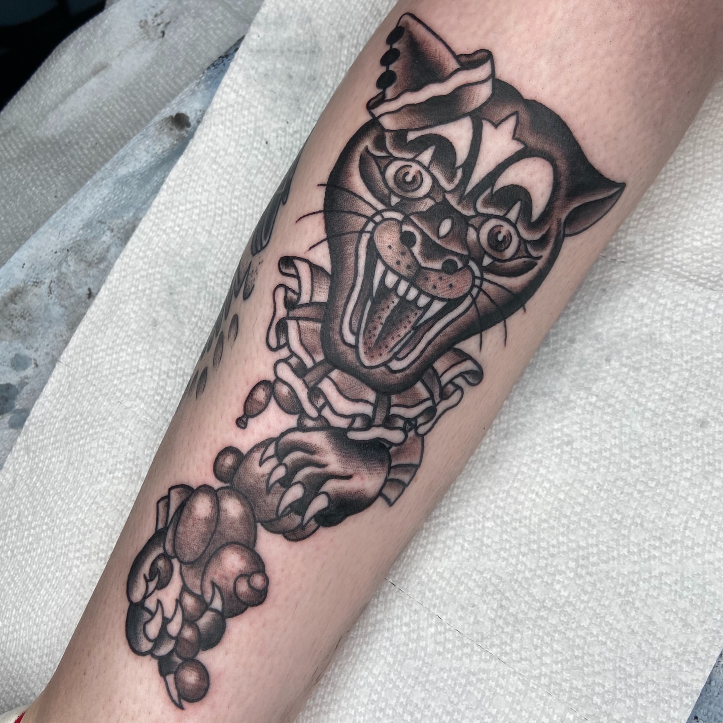 Cat American traditional tattoo on the forearm by nicholas mcevoy, Boston, Massachusetts